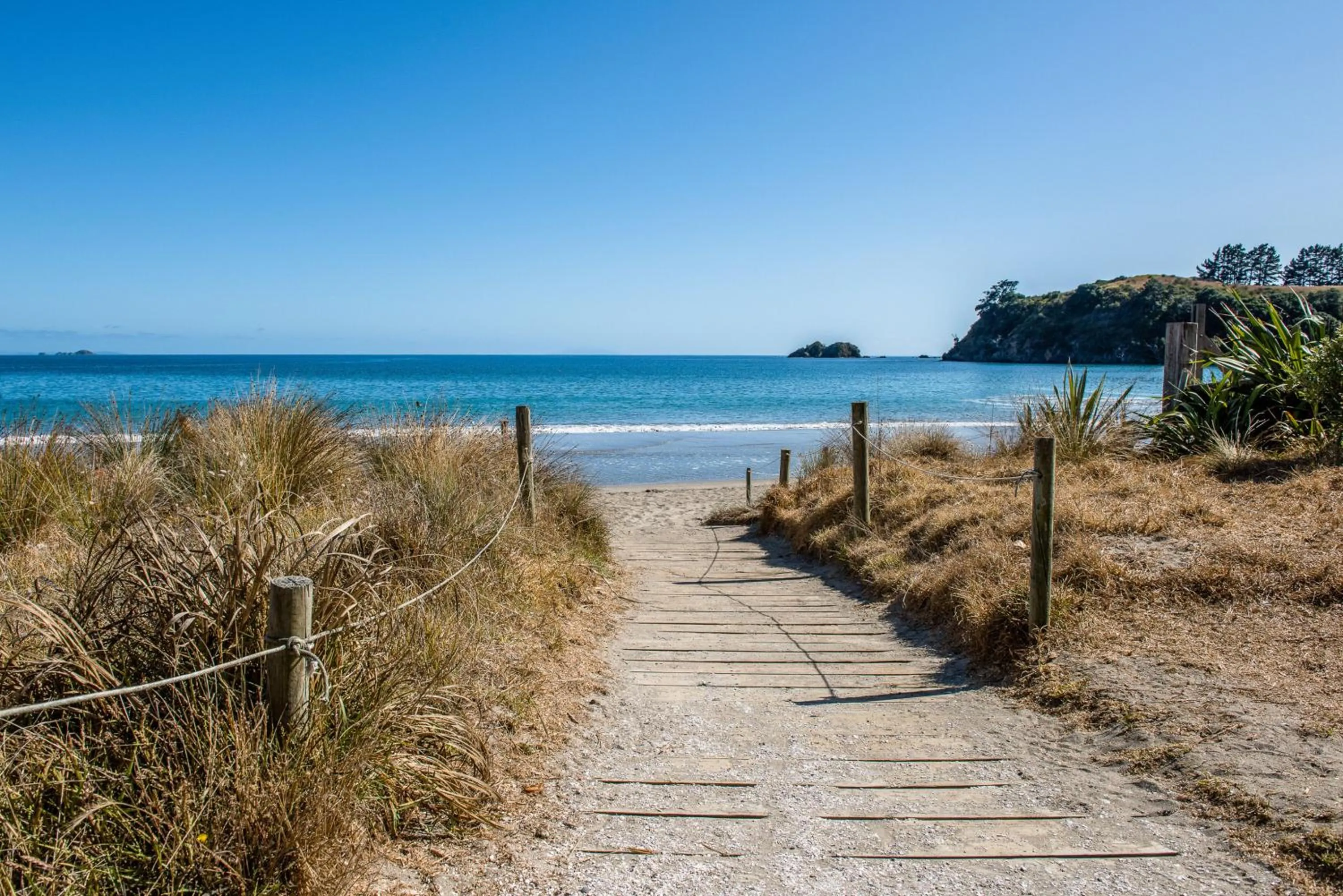 Beach in Hidden Valley Waiheke