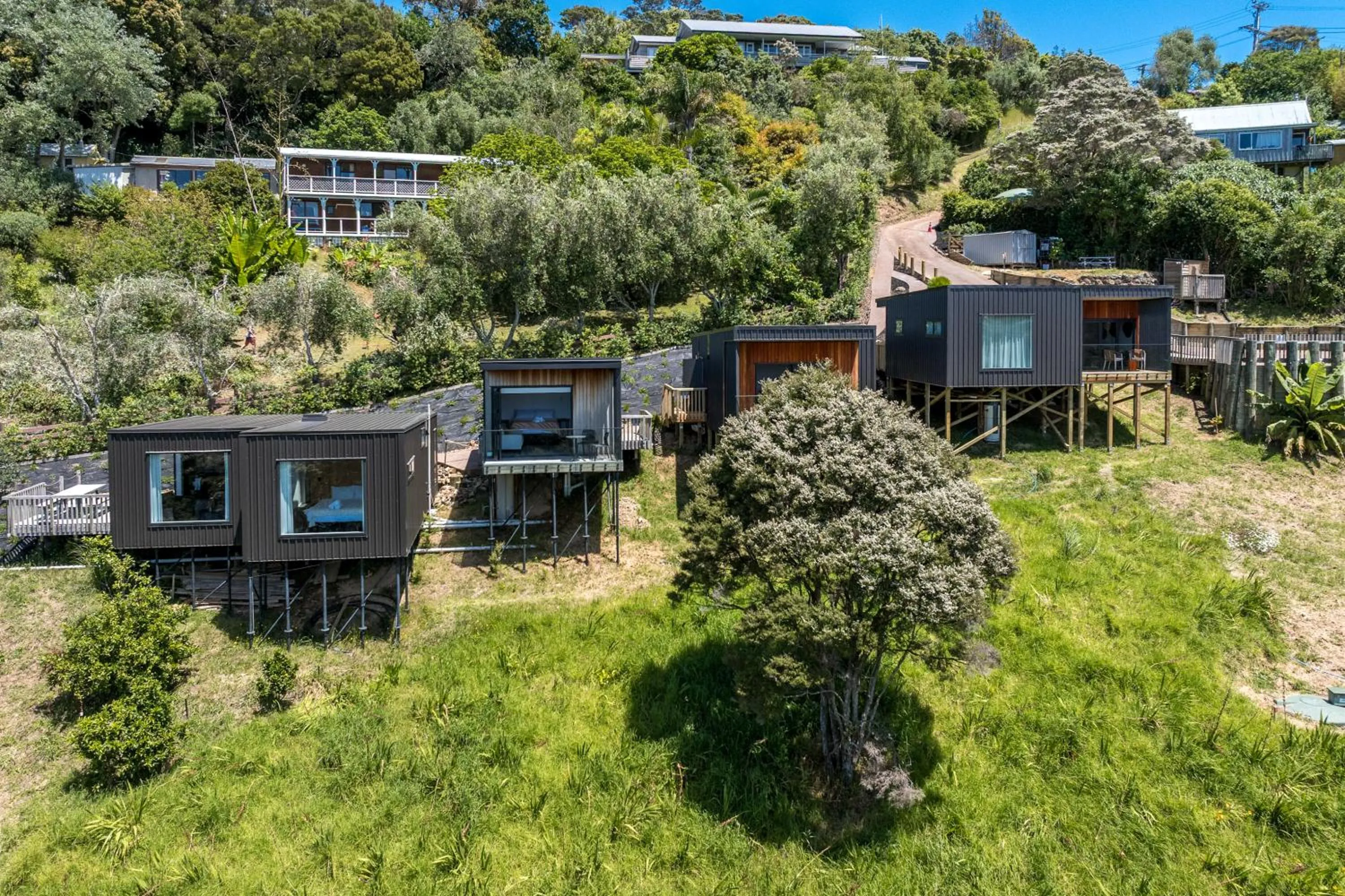 Hidden Valley Waiheke