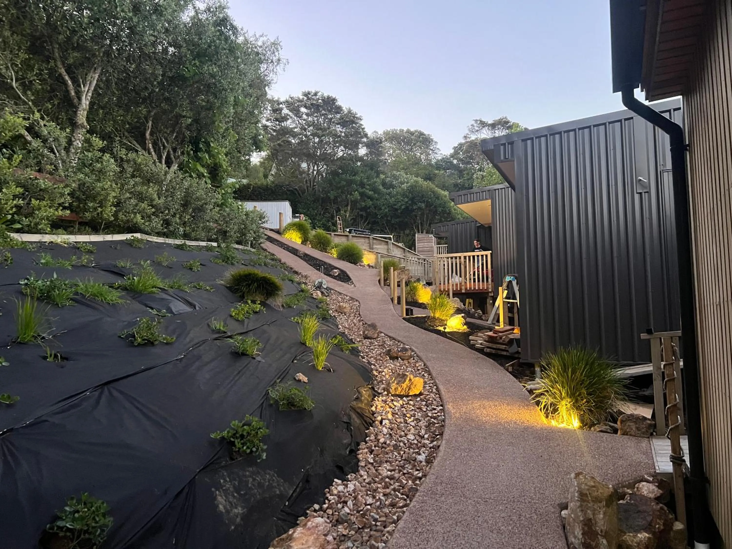 Natural landscape in Hidden Valley Waiheke