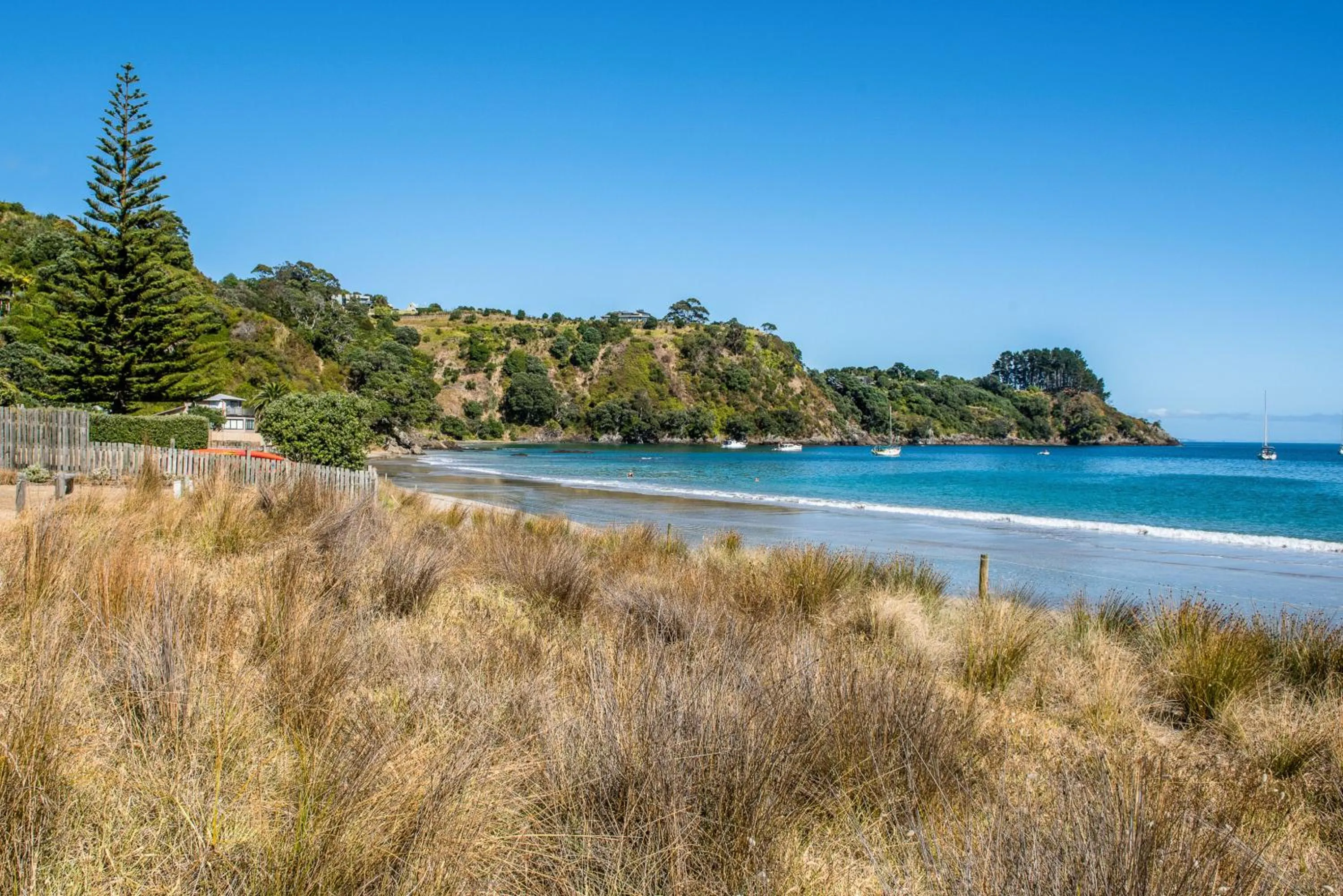 Beach in Hidden Valley Waiheke