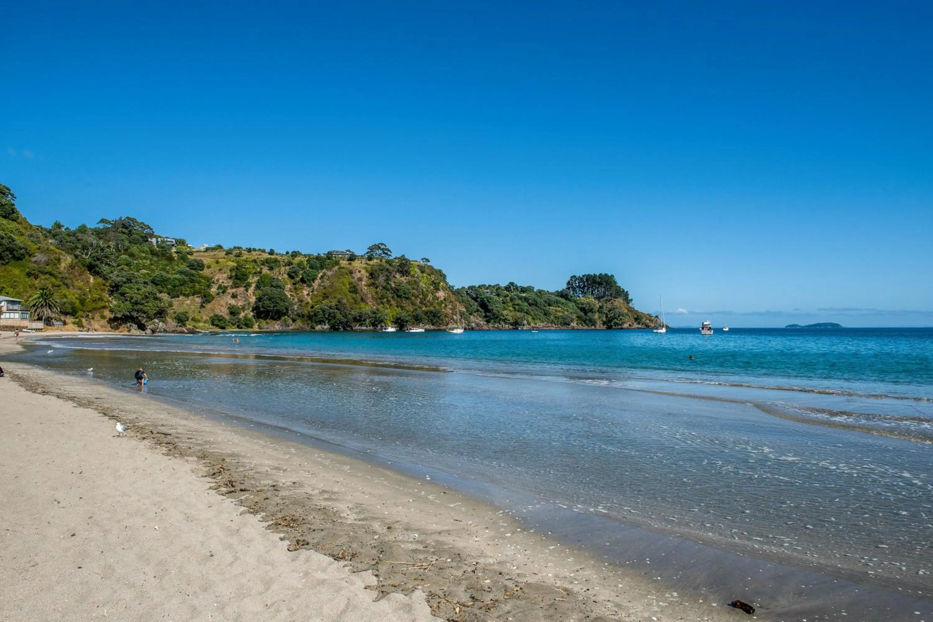 Beach in Hidden Valley Waiheke
