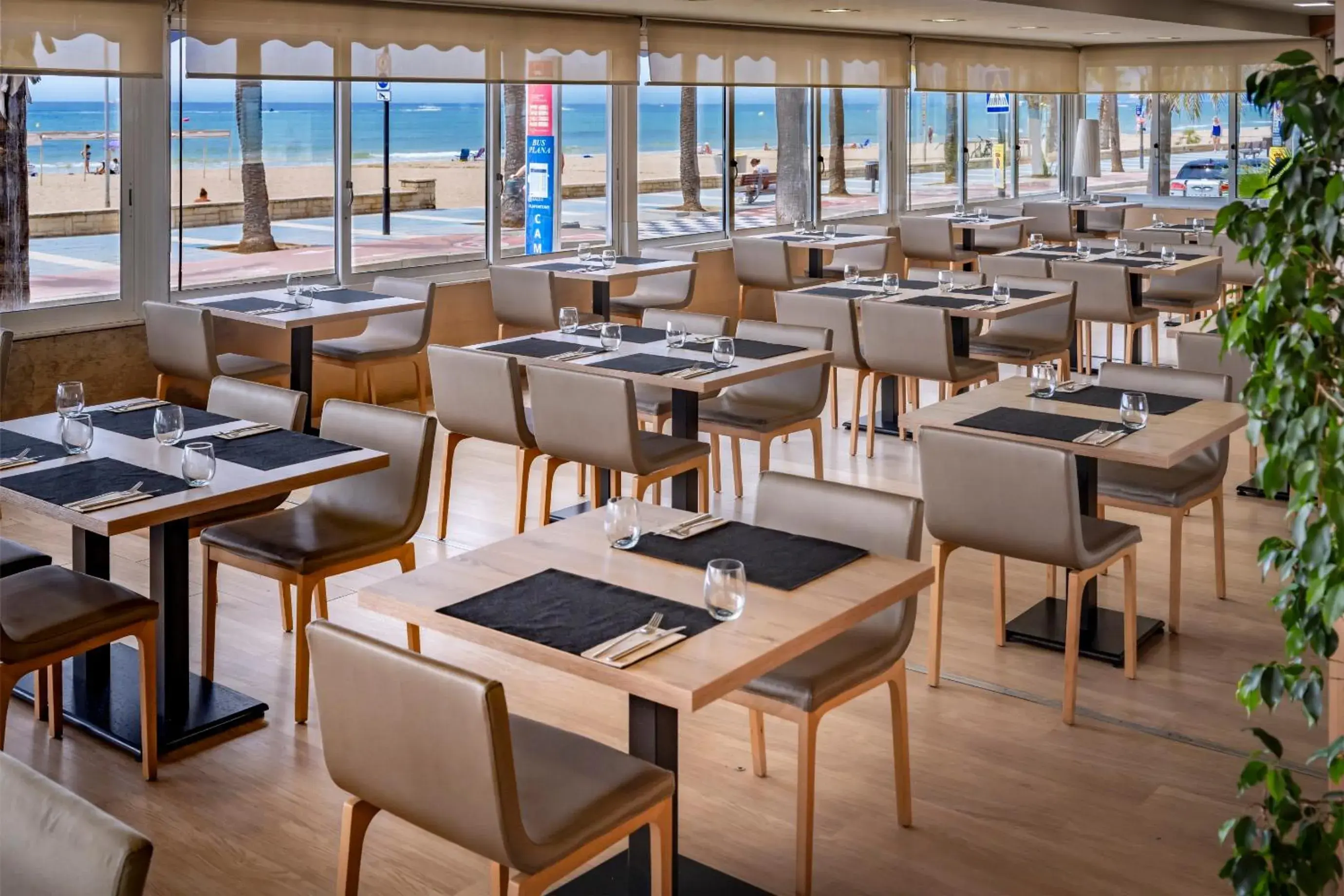 Restaurant/places to eat in 4R Casablanca Playa Restaurant/places to eat in 4R Casablanca Playa