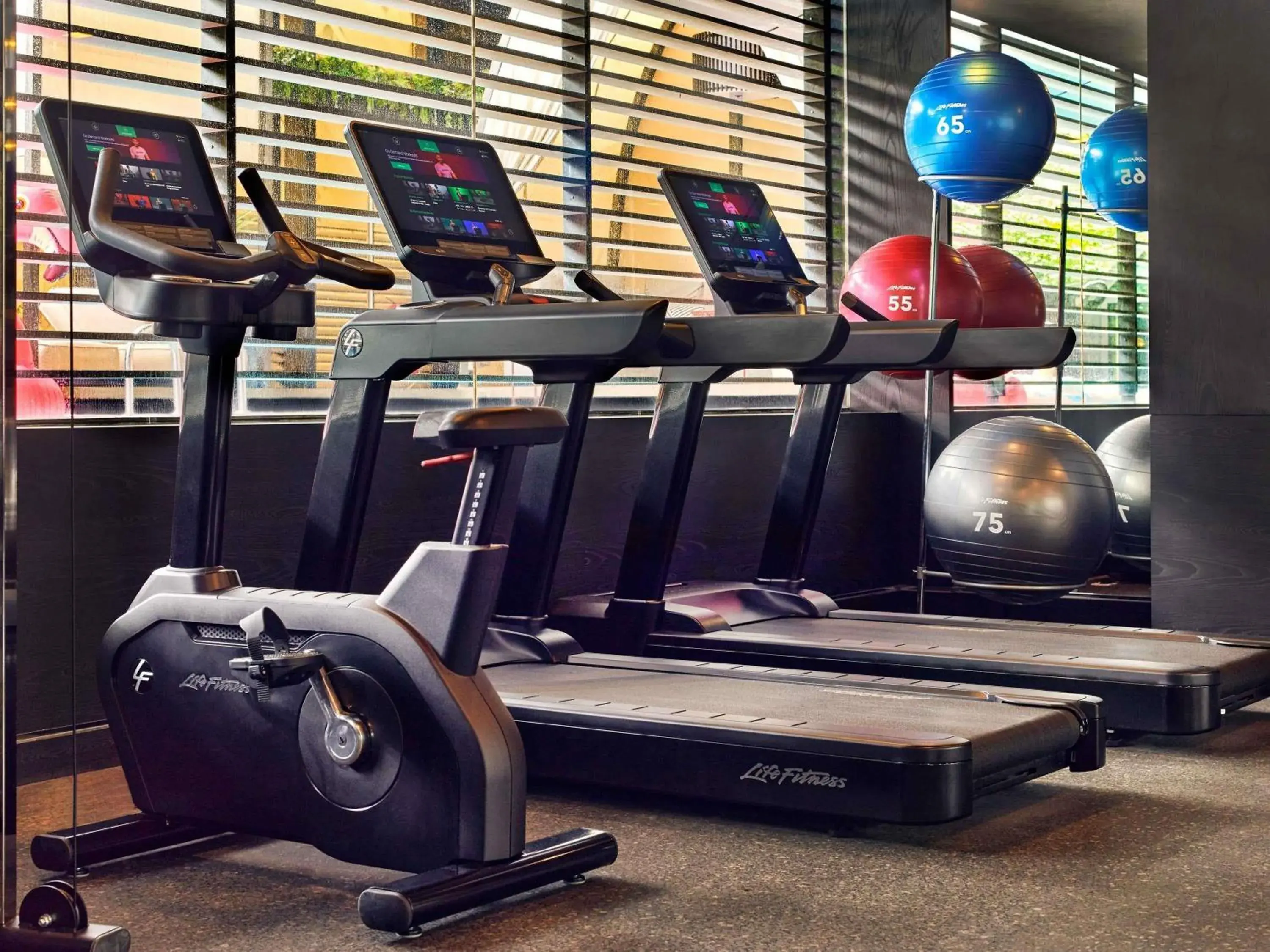 Fitness centre/facilities in Pullman Singapore Orchard Fitness centre/facilities in Pullman Singapore Orchard