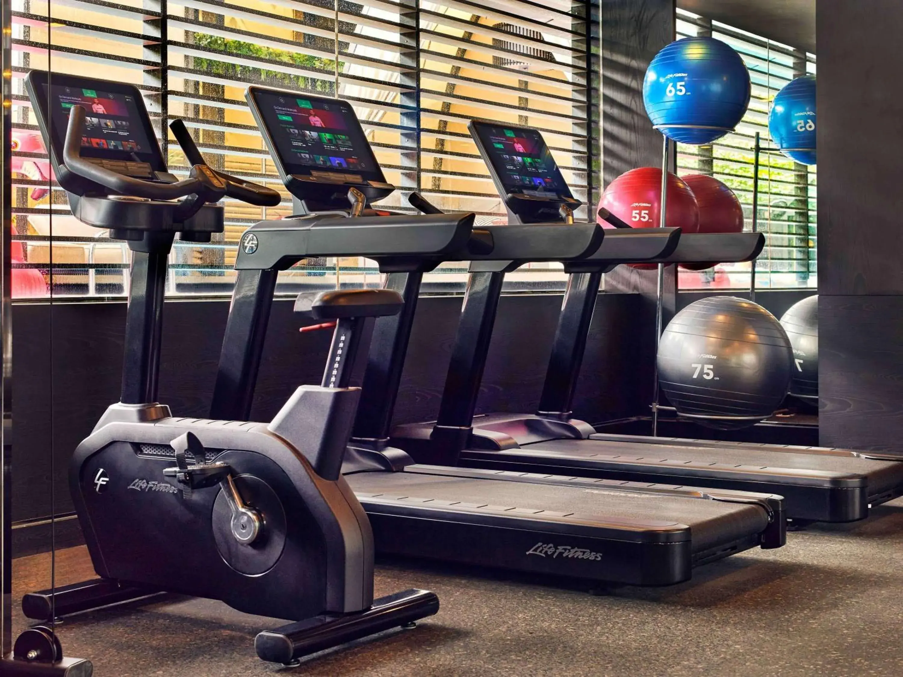 Fitness centre/facilities in Pullman Singapore Orchard Fitness centre/facilities in Pullman Singapore Orchard