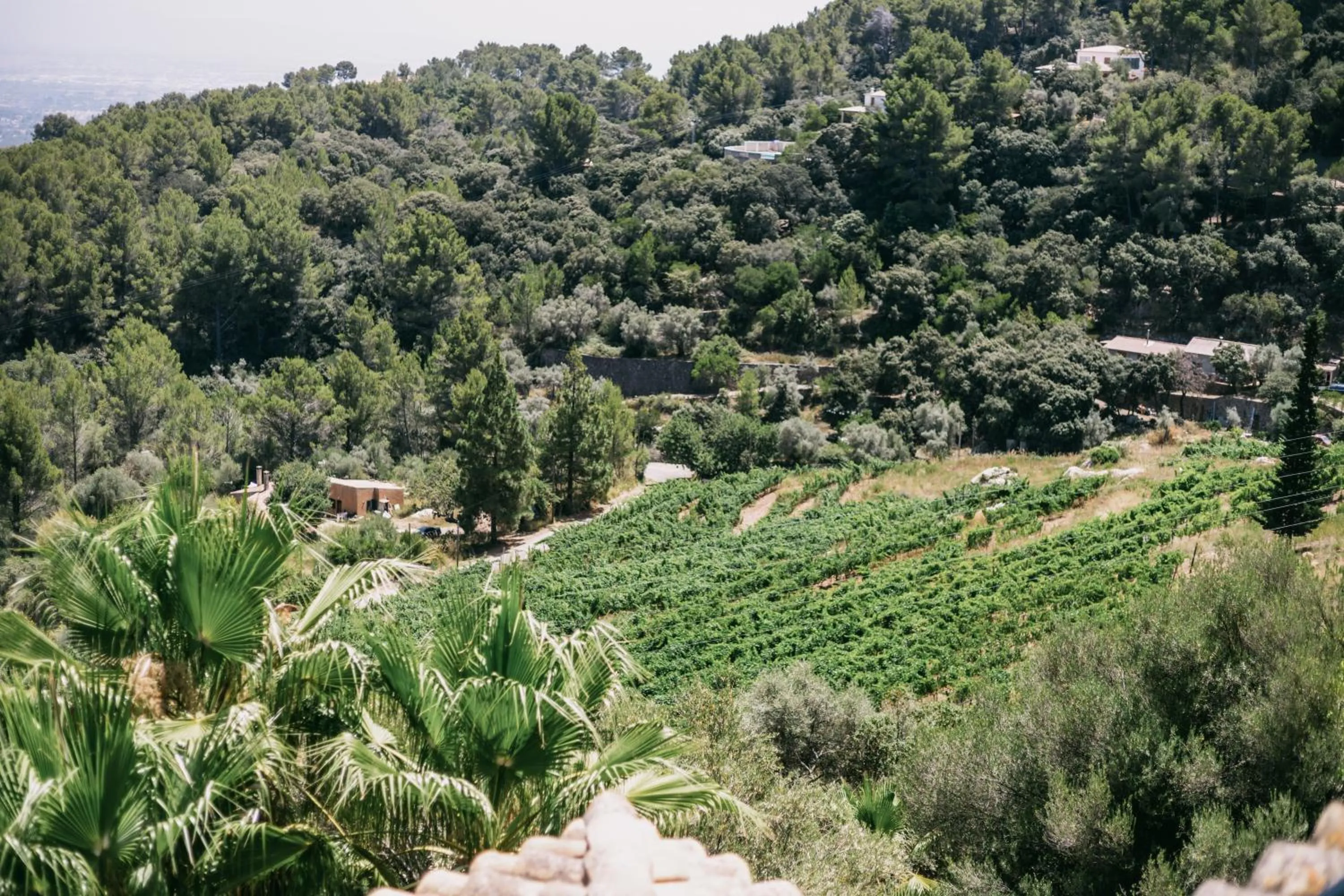 Day in Posada del Marqués
