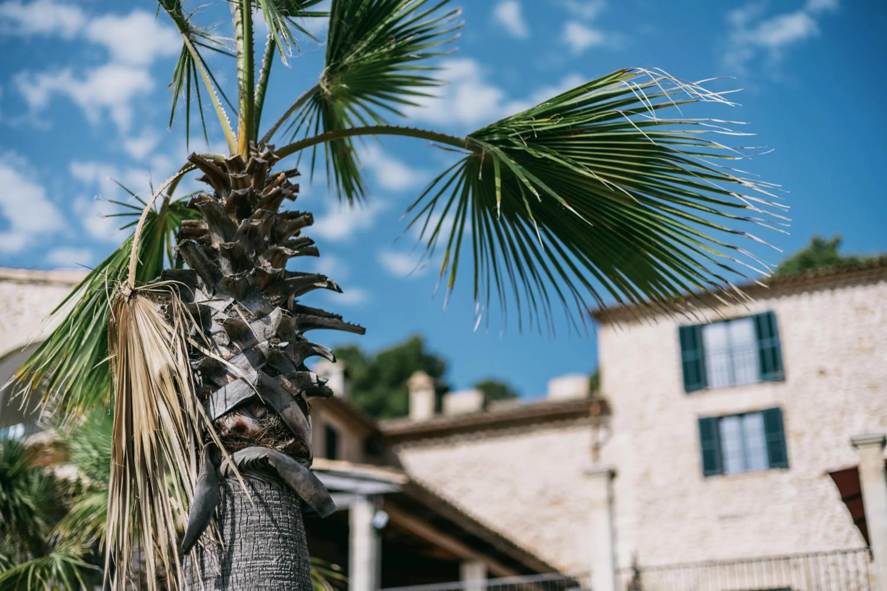 Property building in Posada del Marqués