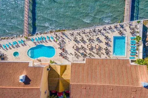 Beso del Sol Resort in Dunedin - Perfect Location & Relaxation! Beso del Sol Resort in Dunedin - Perfect Location & Relaxation!
