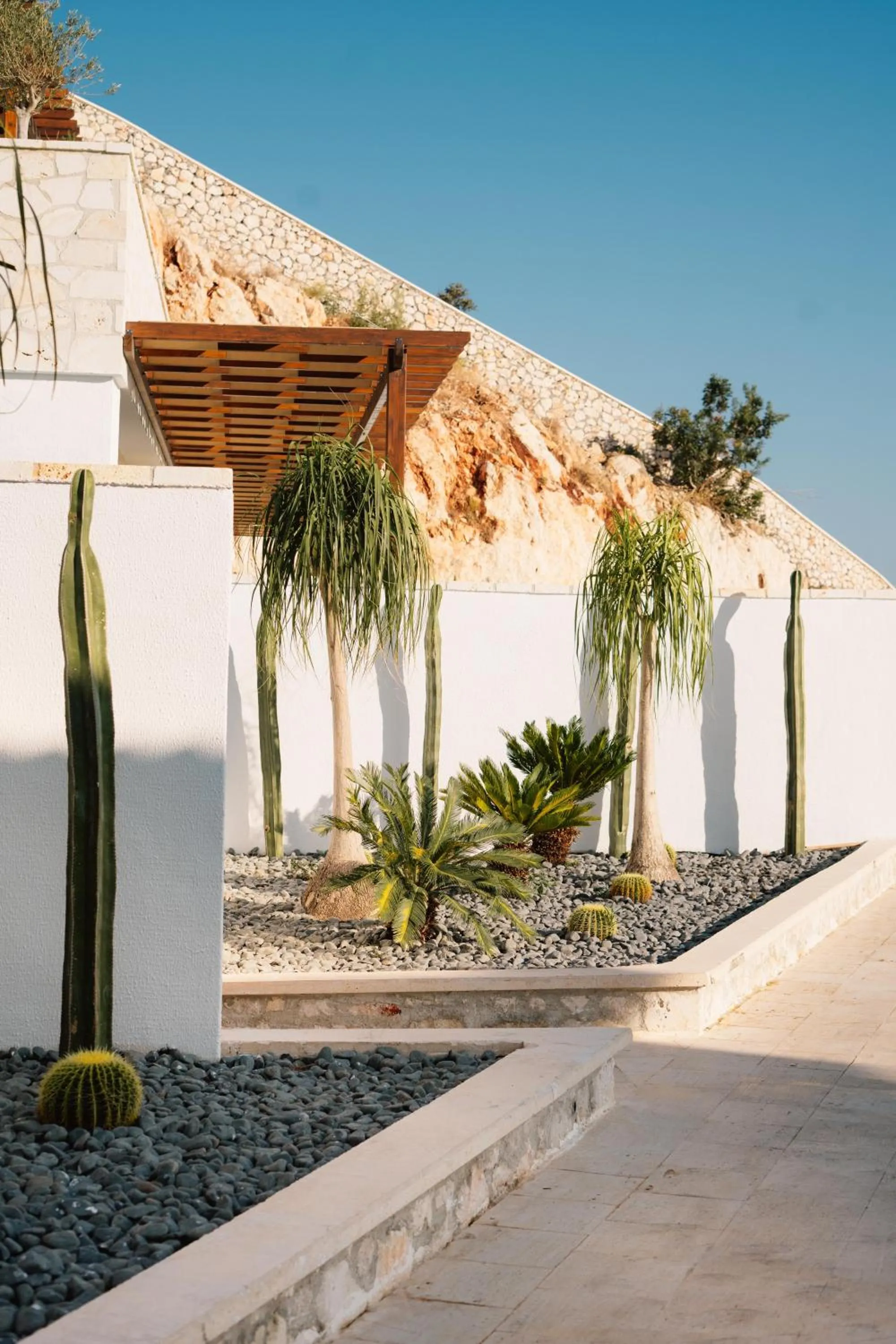 Garden in Lures Hotel