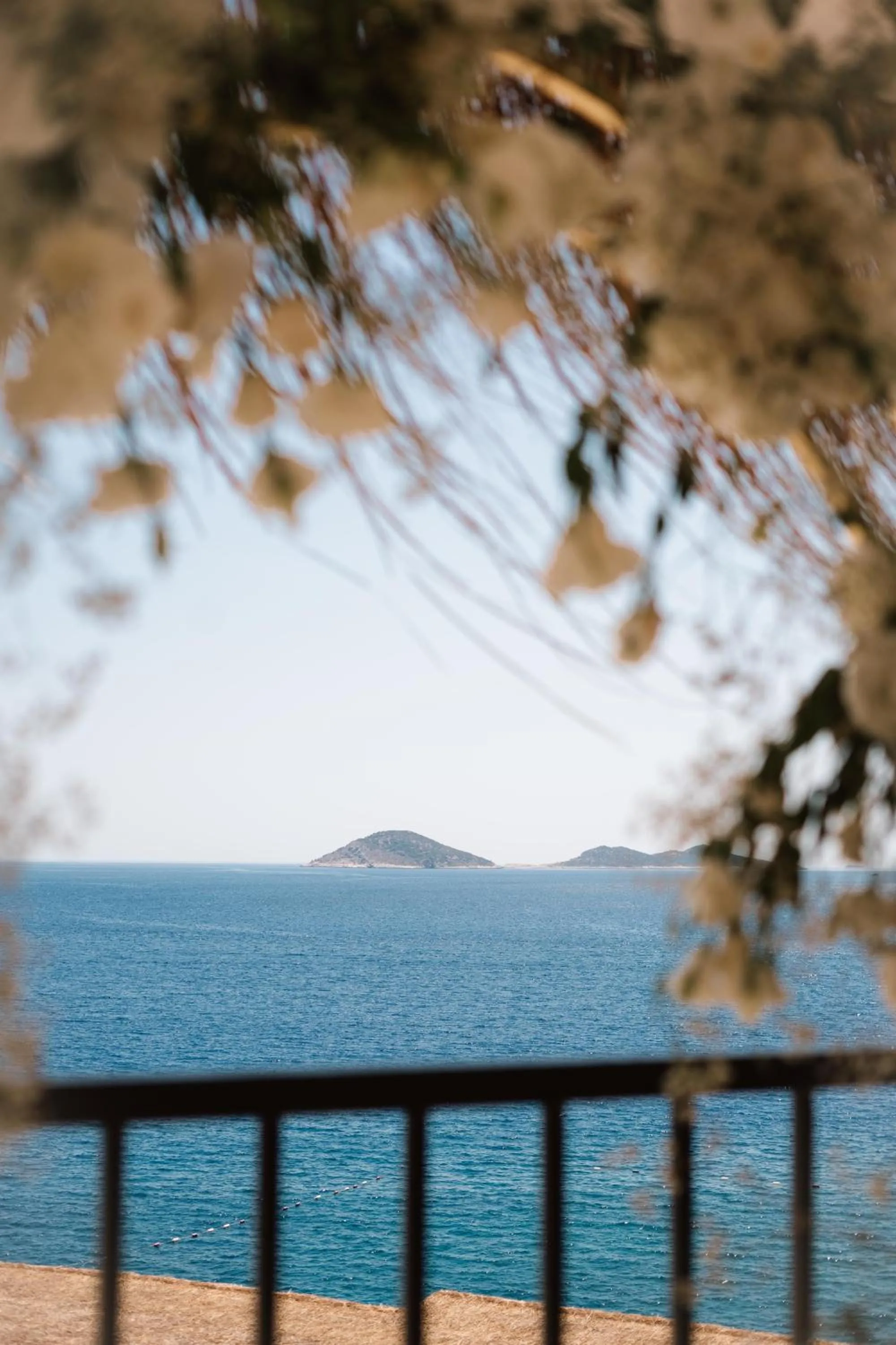 Balcony/Terrace in Lures Hotel