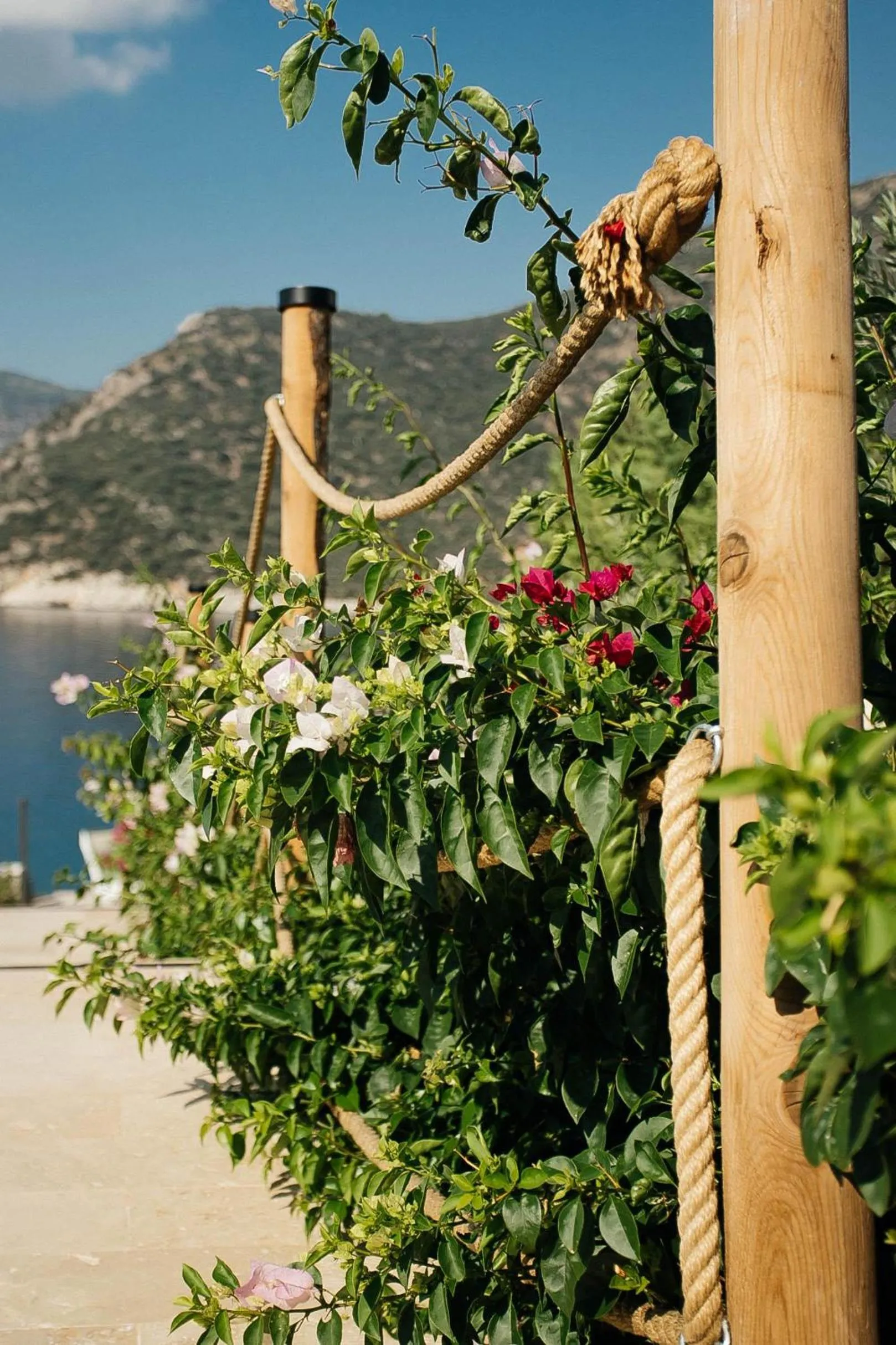 Garden in Lures Hotel