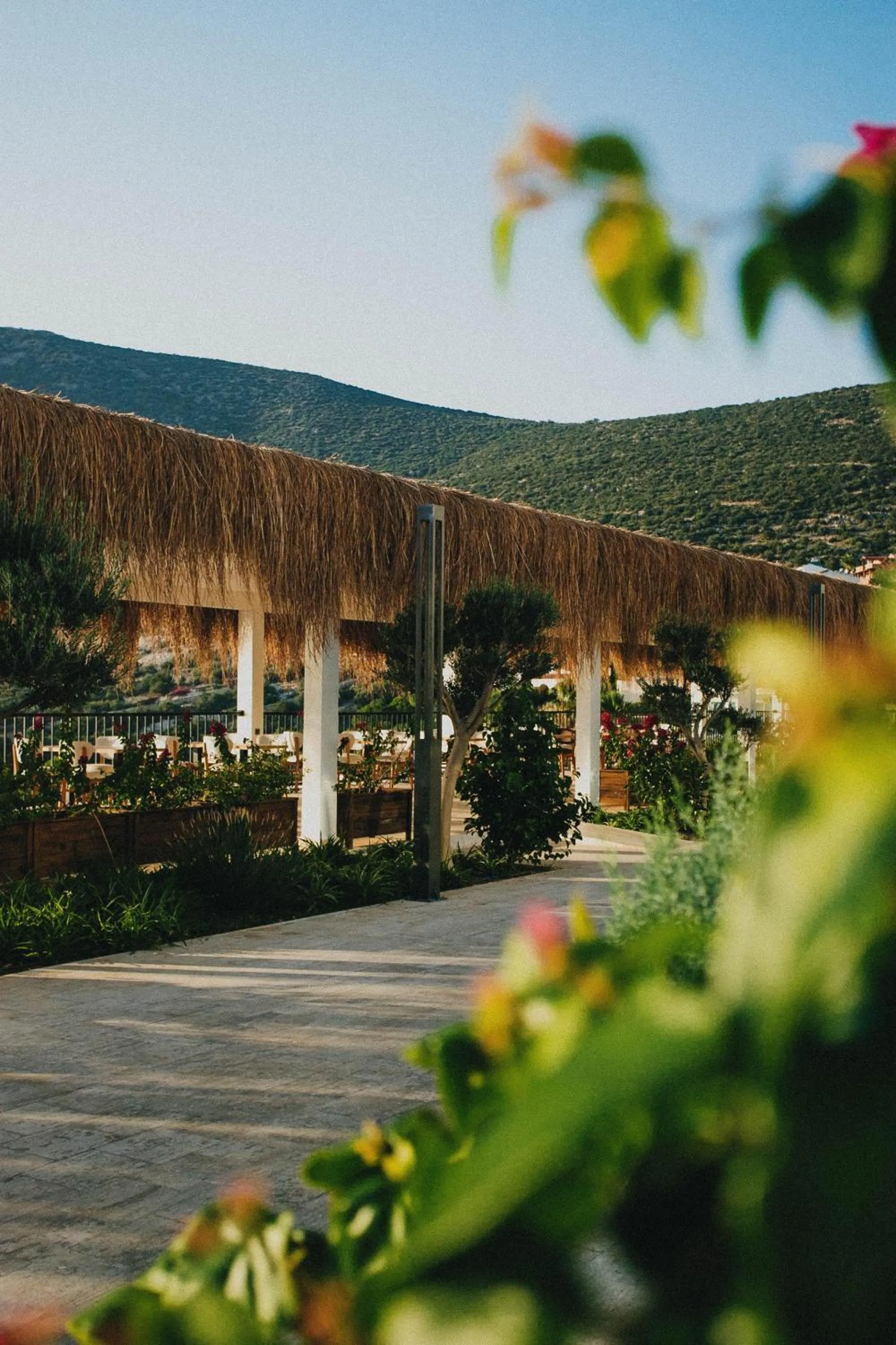 Restaurant/places to eat in Lures Hotel