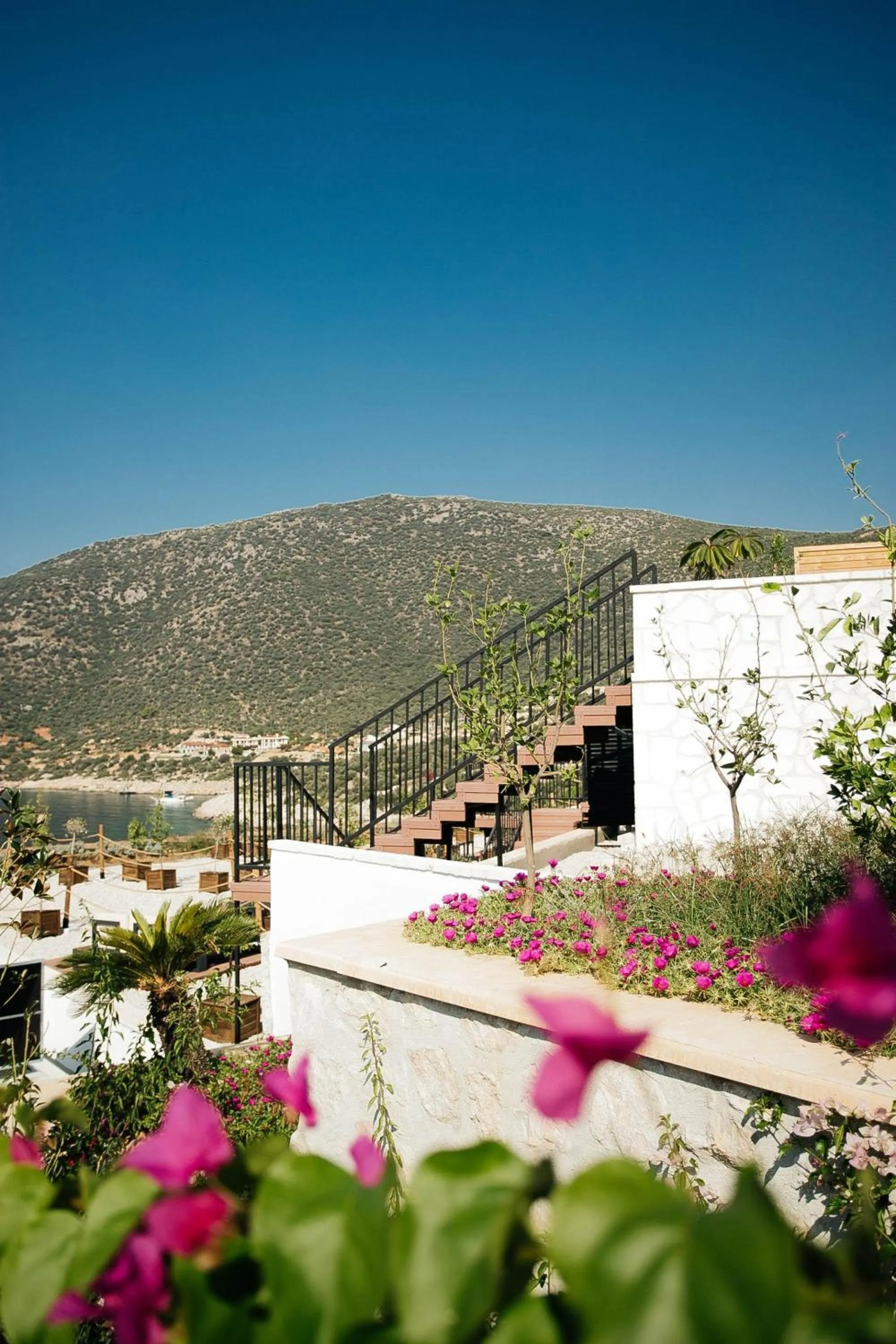 Property building in Lures Hotel