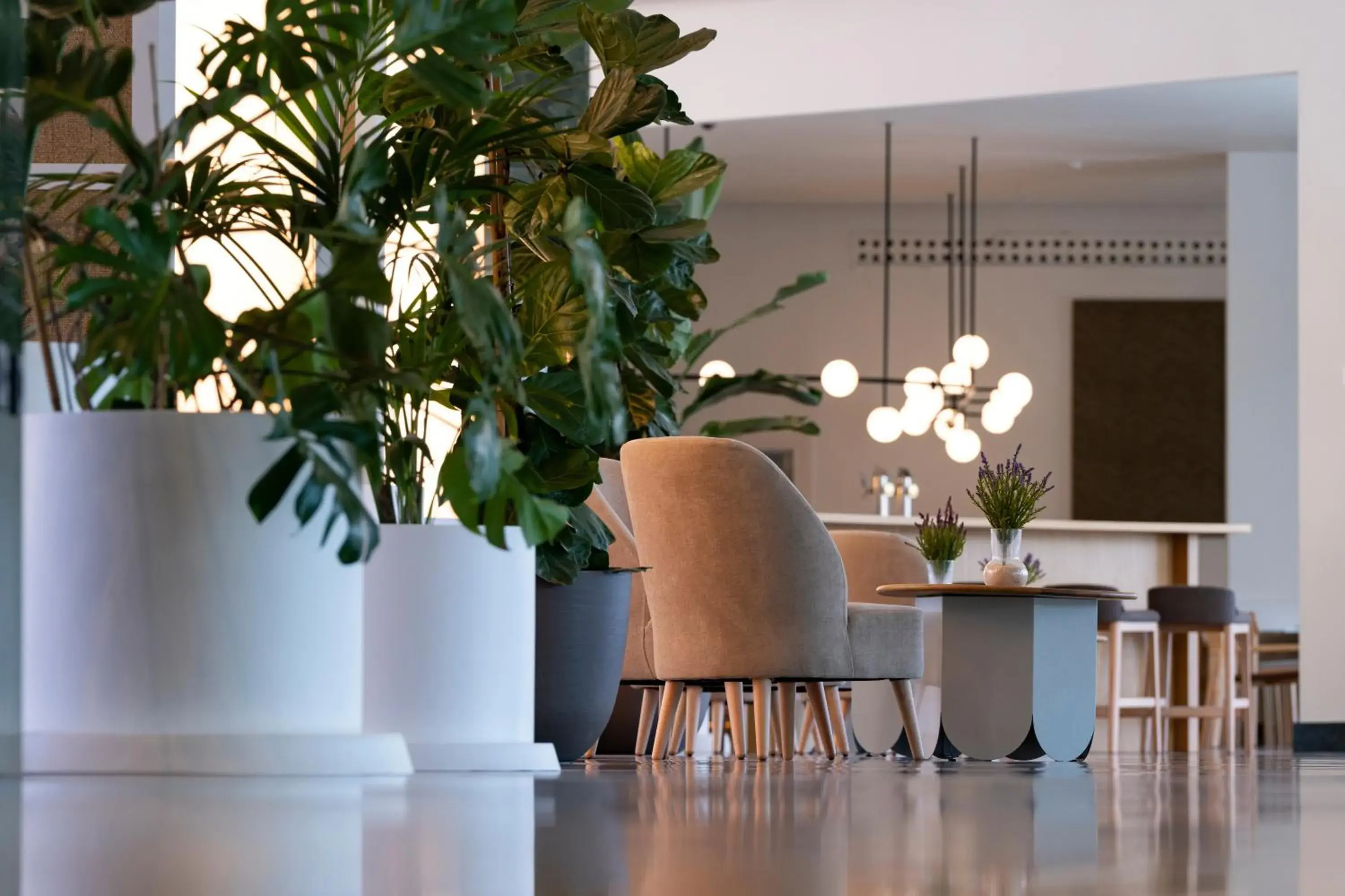 Lobby or reception in Hotel Antequera Hills Lobby or reception in Hotel Antequera Hills