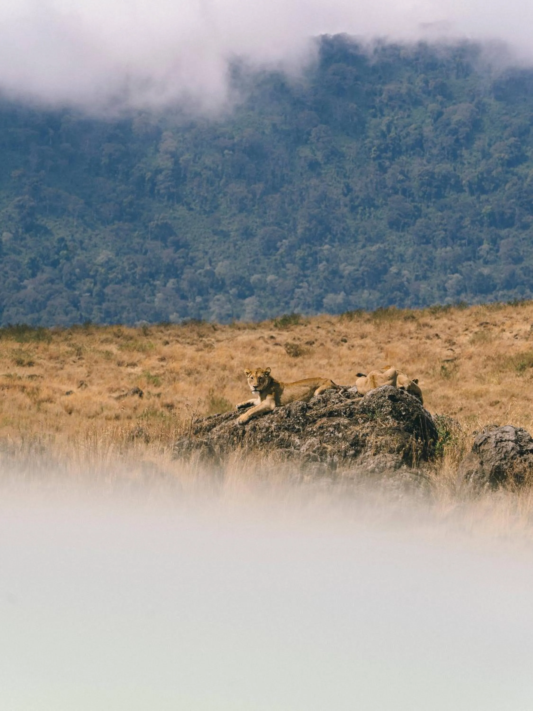 Ngorongoro Lodge Meliá Collection