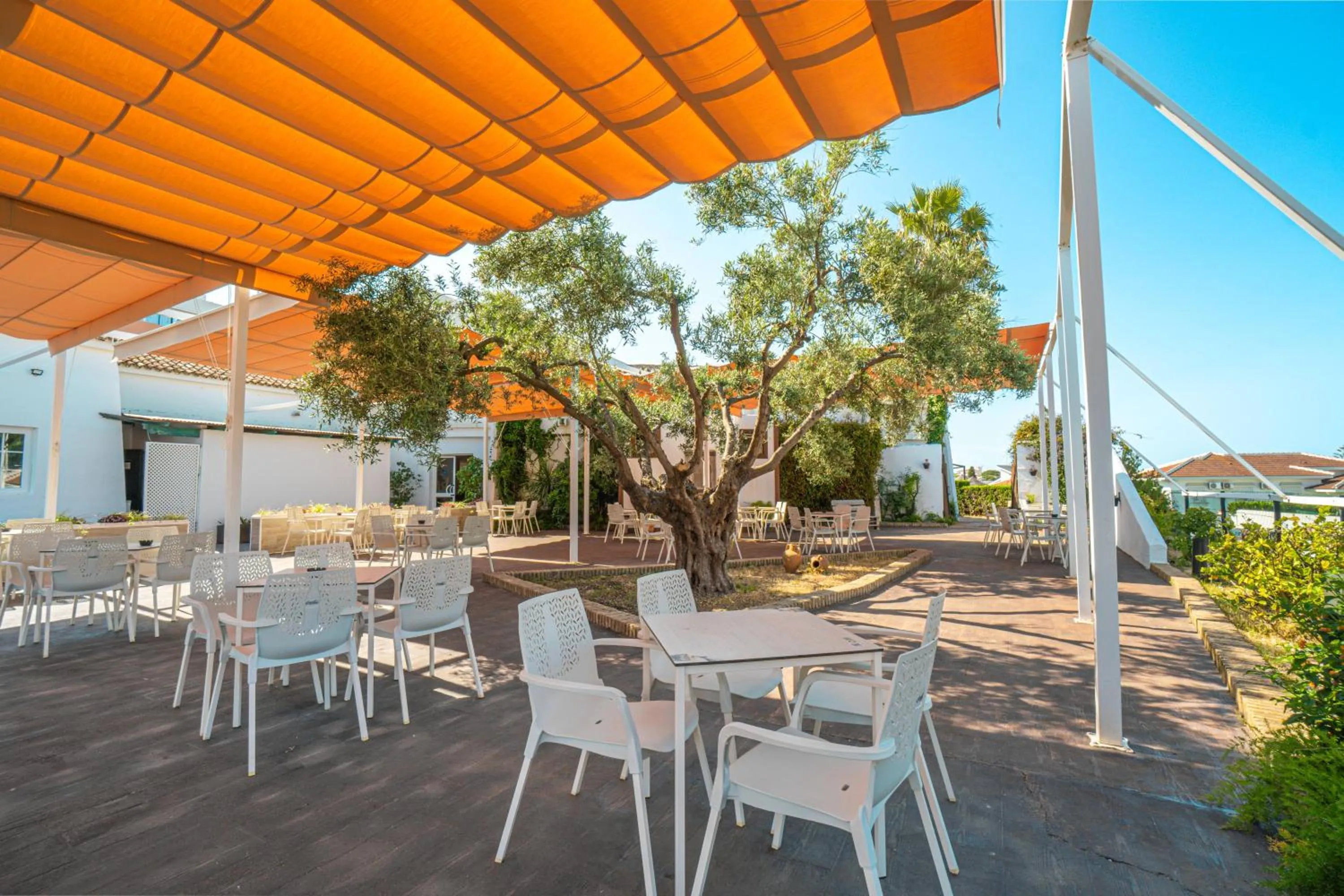 Balcony/Terrace in Ohtels Carabela