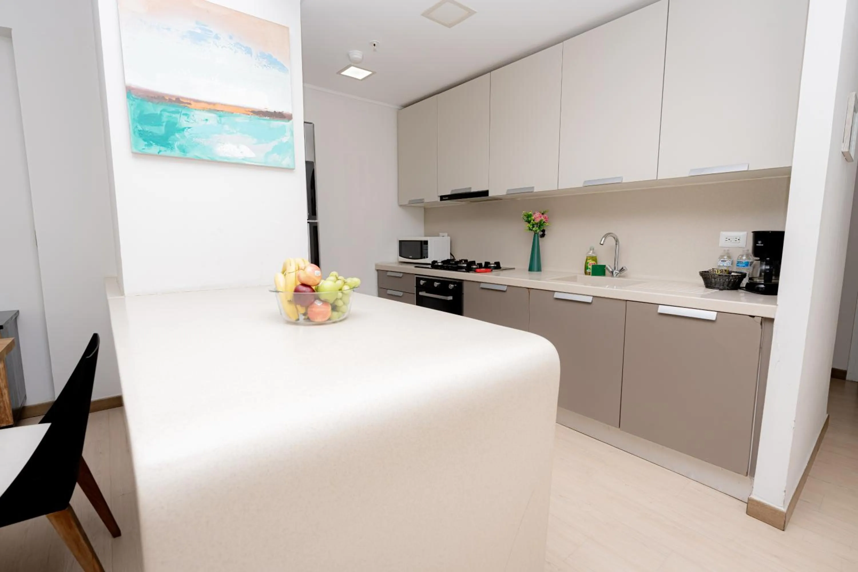 Kitchen or kitchenette in Boutique Apartments Panamá Coco del Mar