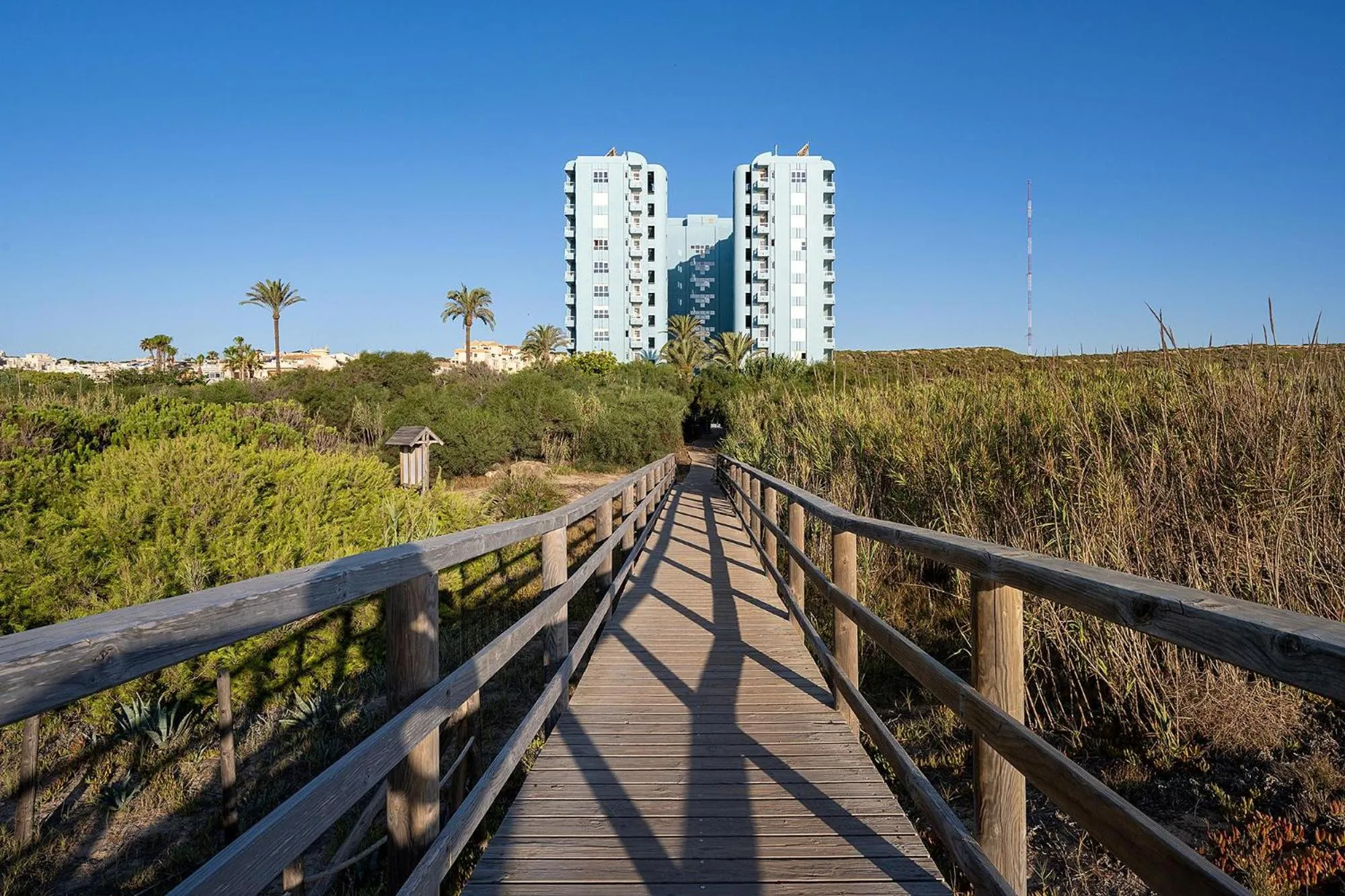 Natural landscape in Hotel Playas de Guardamar