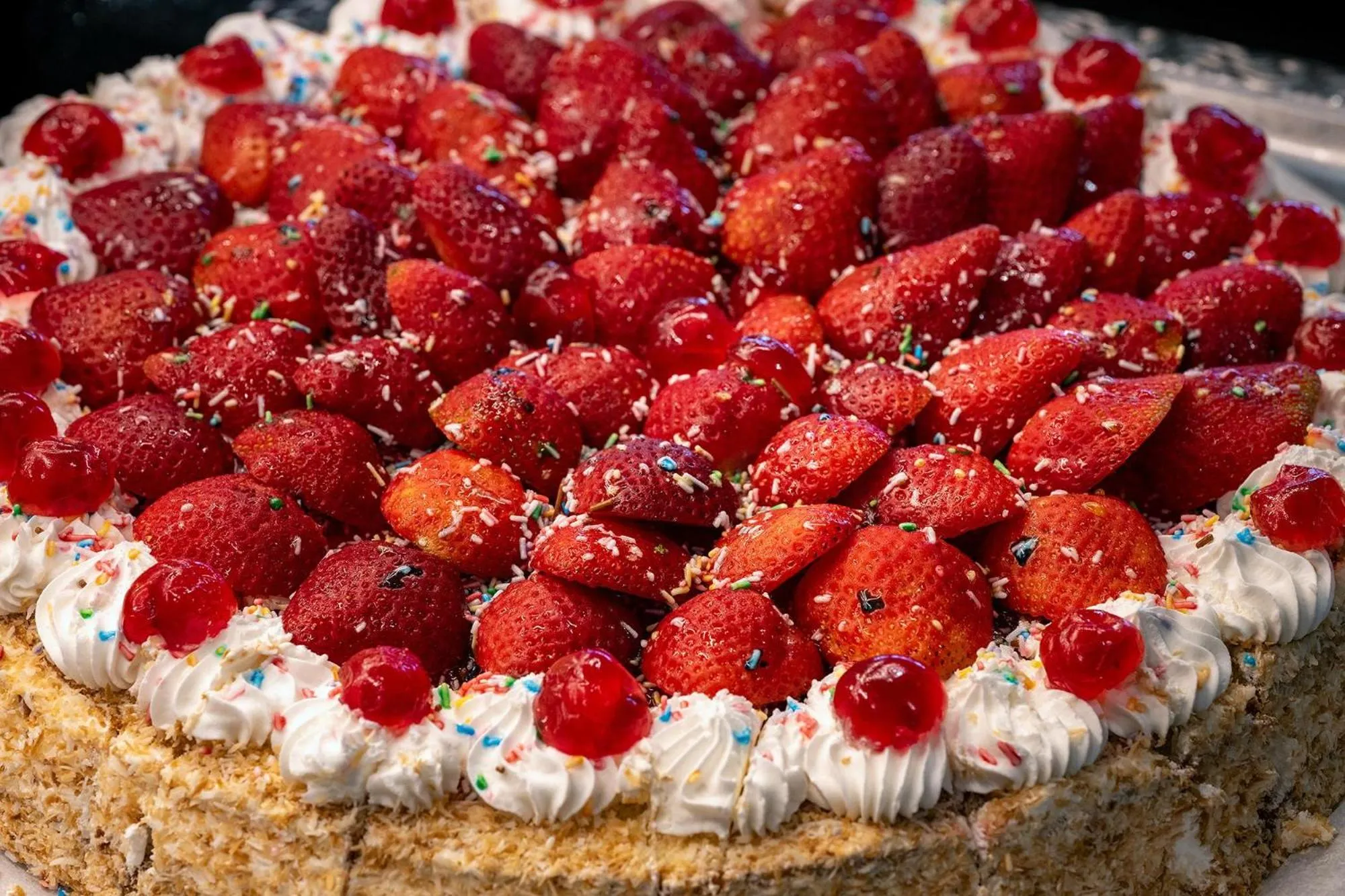 Pets in Hotel Playas de Guardamar