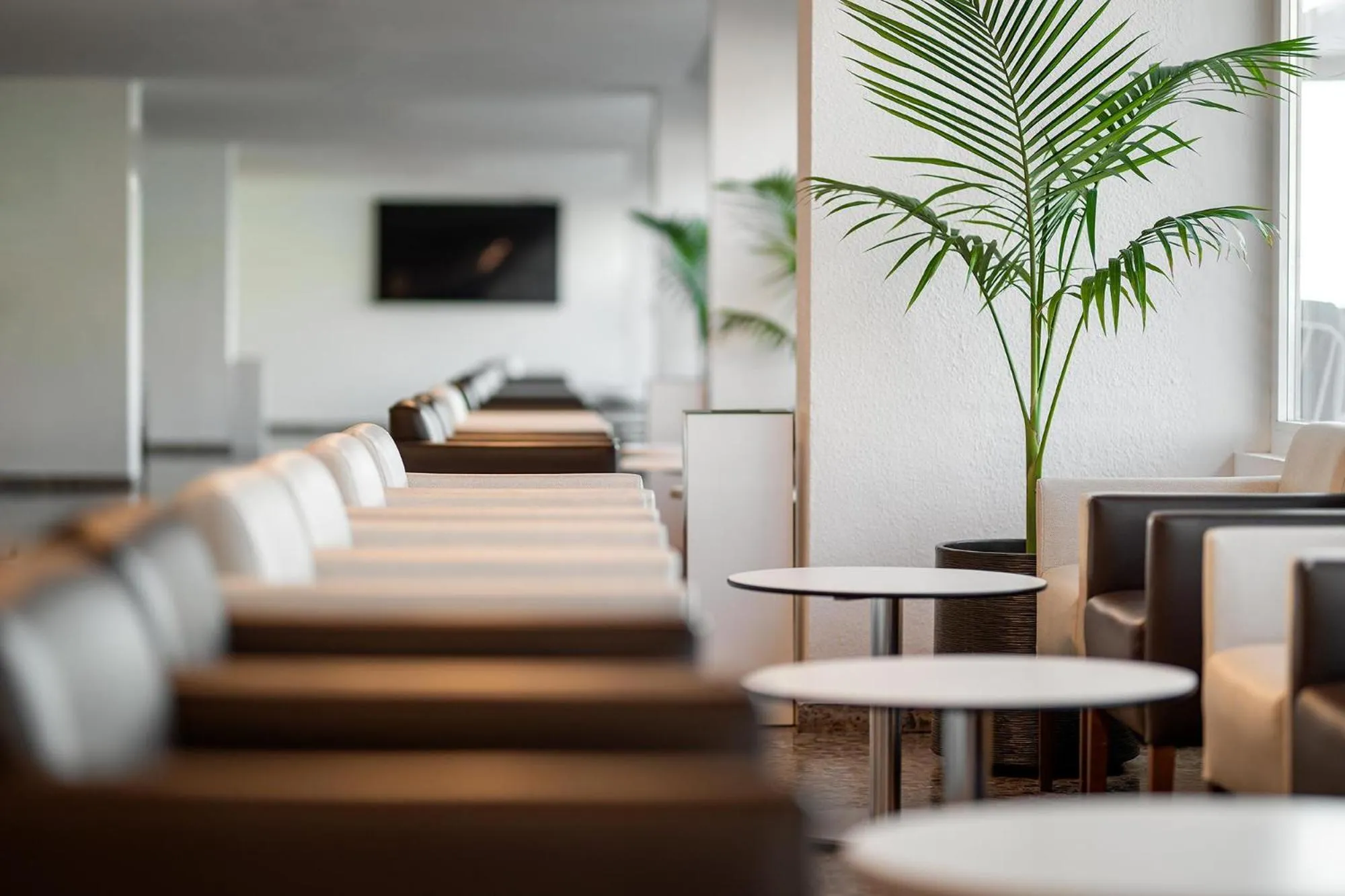 Lobby or reception in Hotel Playas de Guardamar