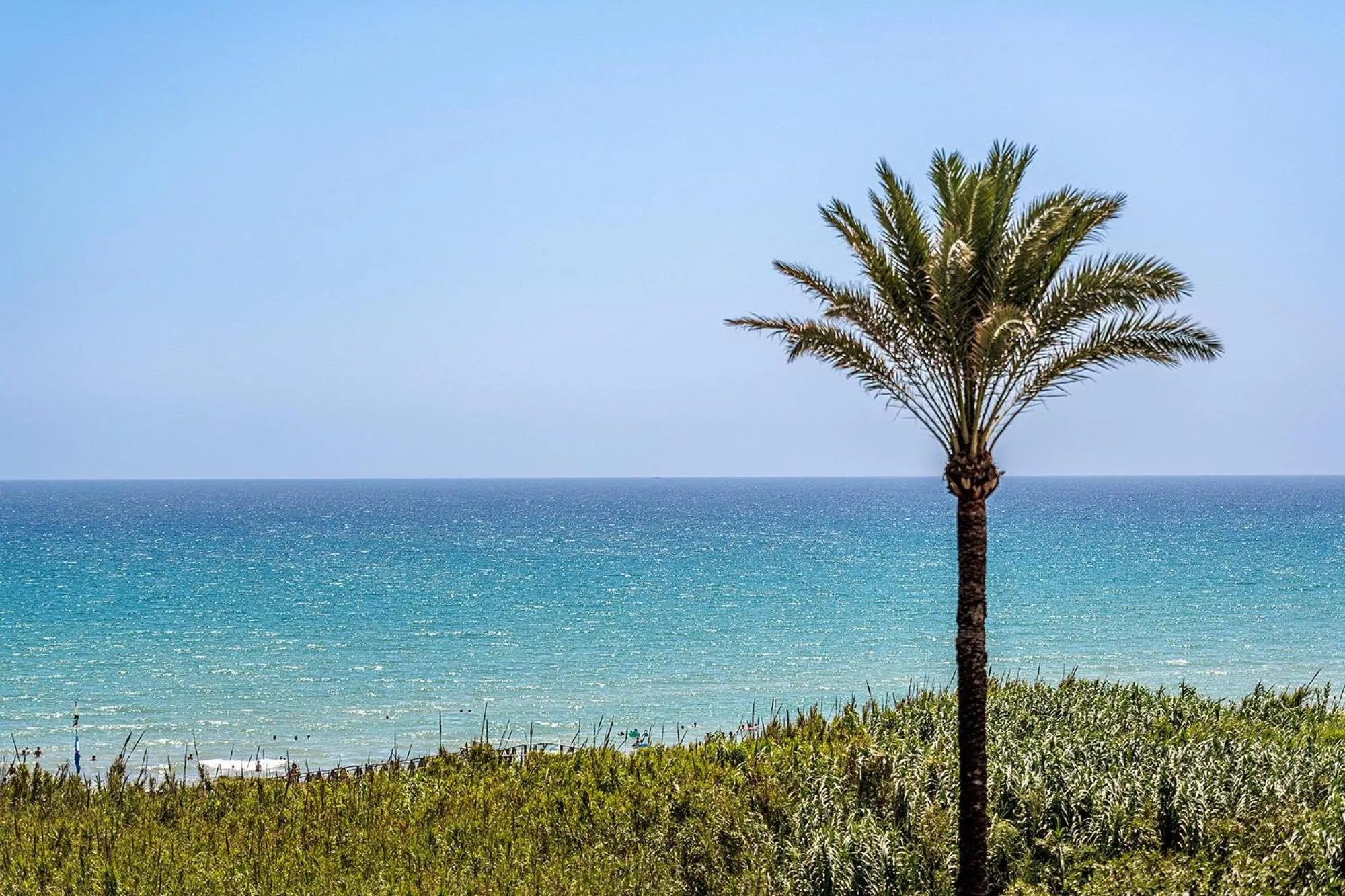 Beach in Hotel Playas de Guardamar