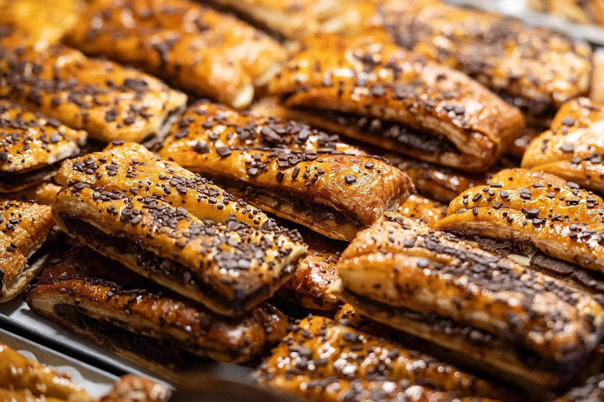 Pets in Hotel Playas de Guardamar