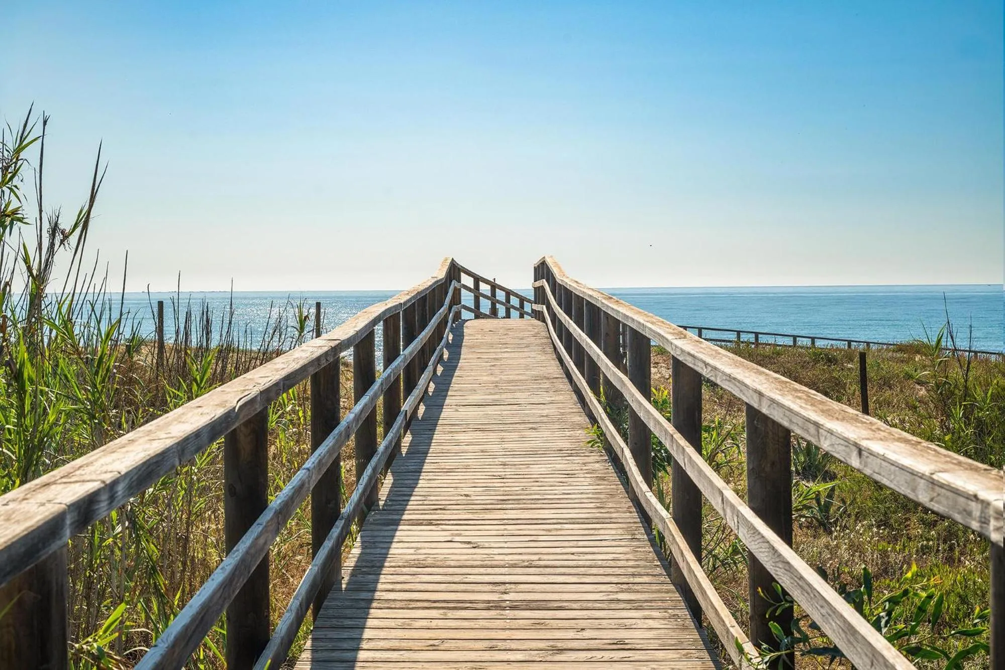 Natural landscape in Hotel Playas de Guardamar