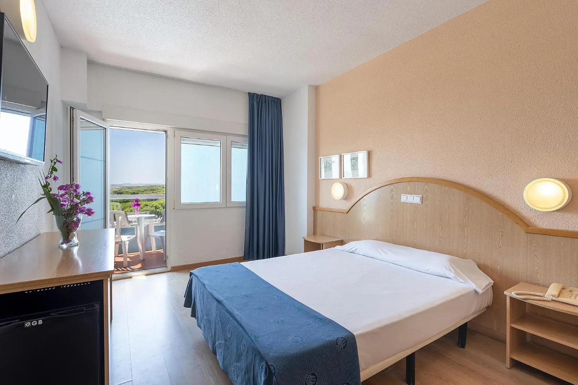 Single Room in Hotel Playas de Guardamar Single Room in Hotel Playas de Guardamar