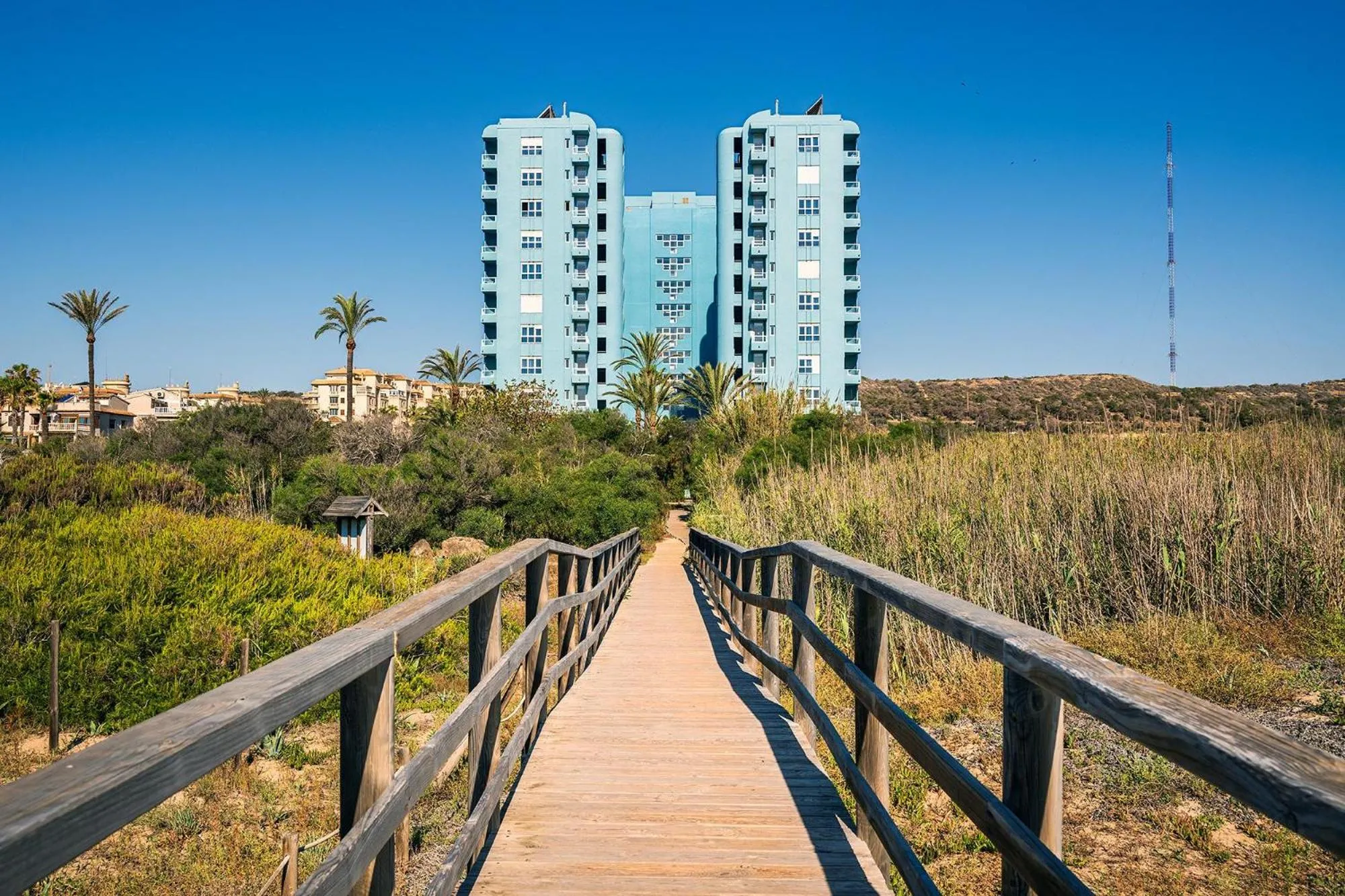 Natural landscape in Hotel Playas de Guardamar