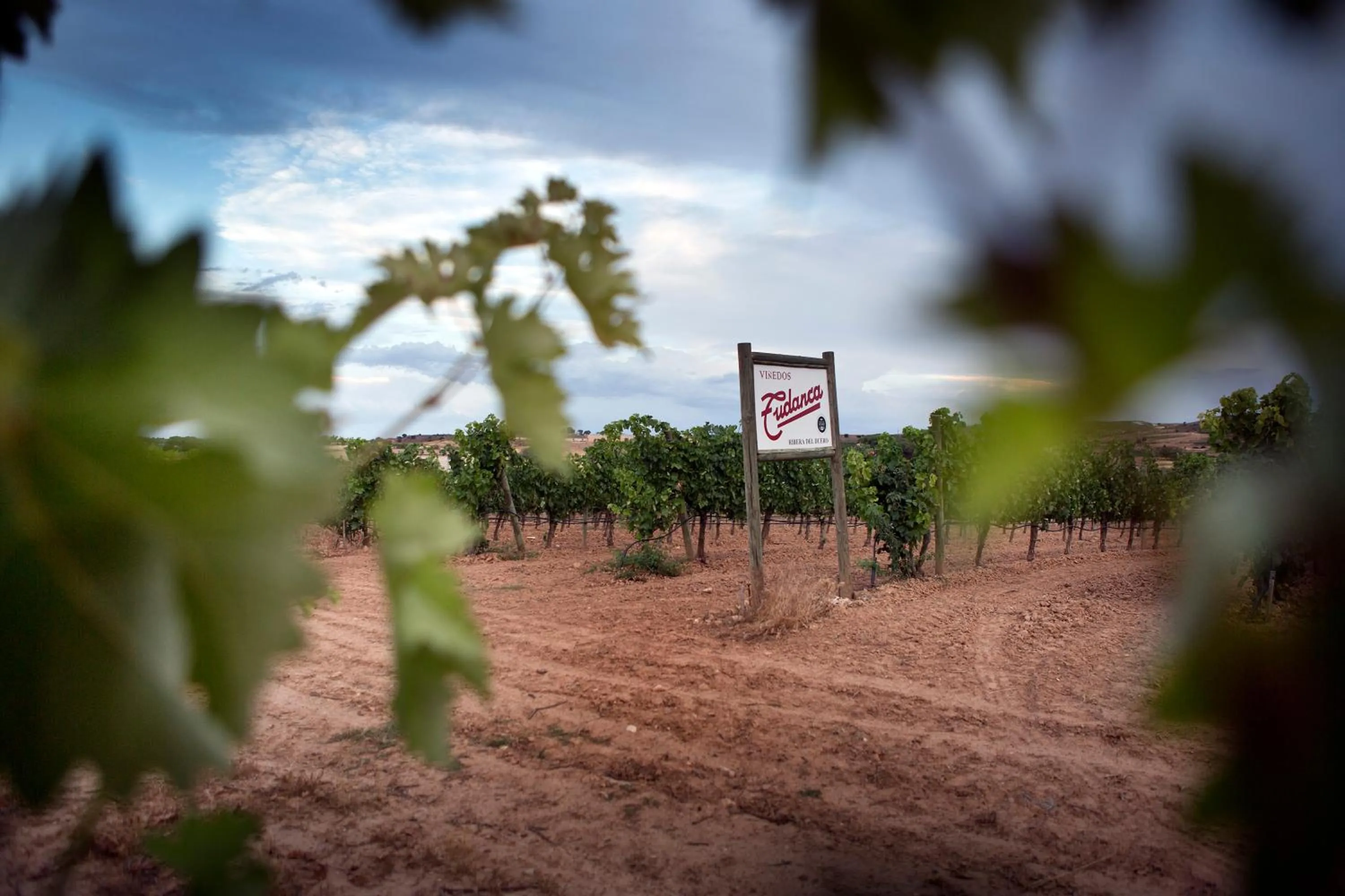 Other in Hotel Tudanca-Aranda II