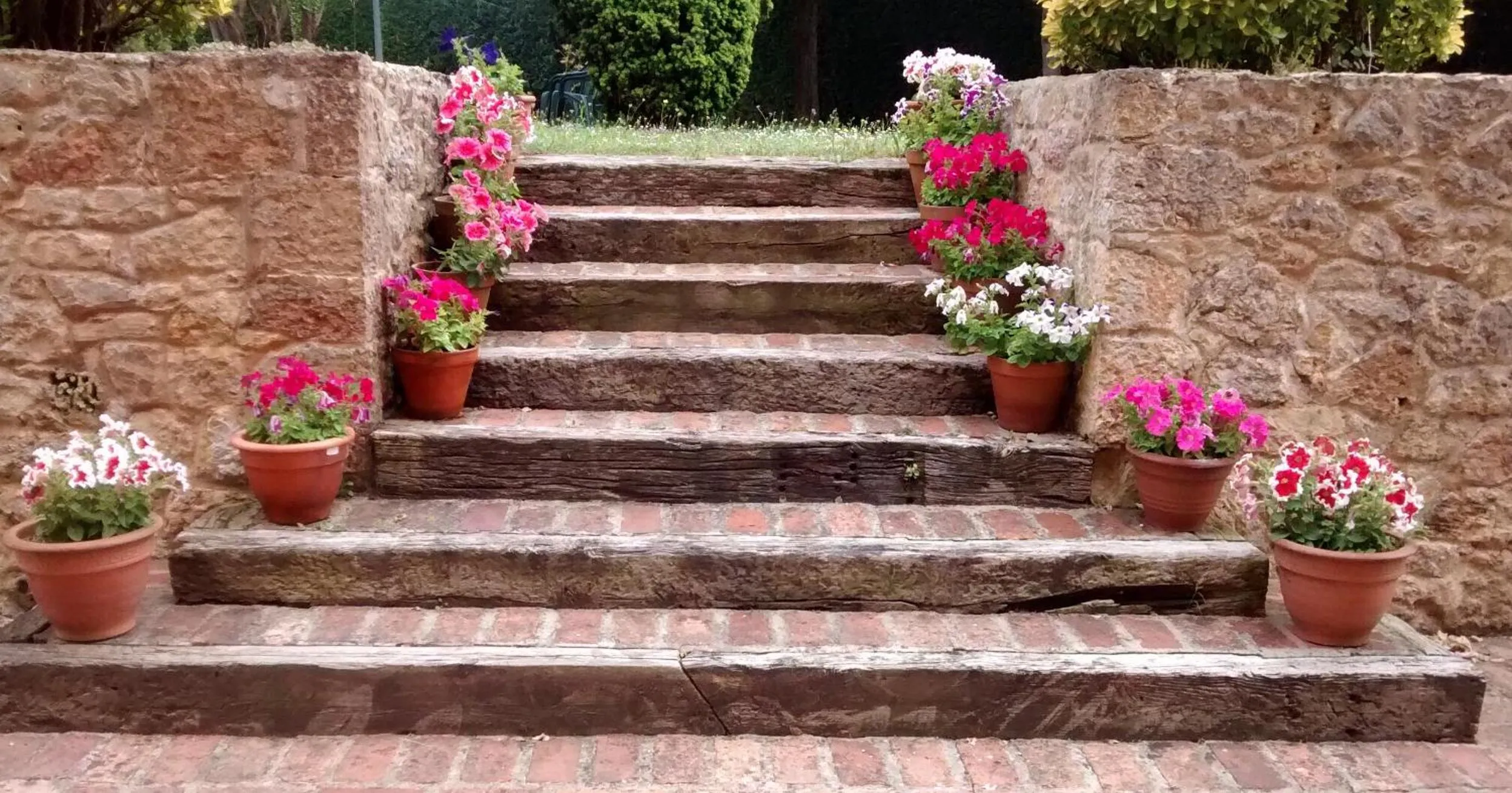 Garden in Hotel Palacio De La Viñona