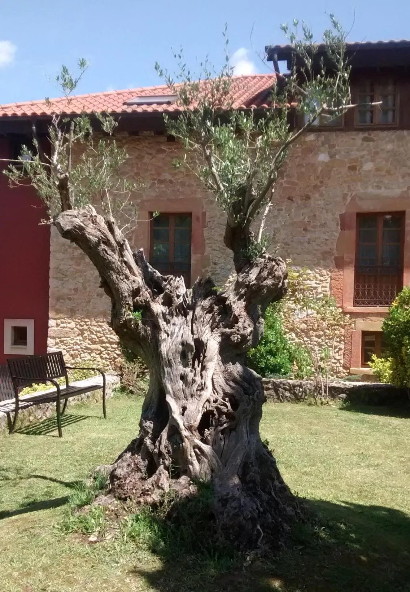 Patio in Hotel Palacio De La Viñona