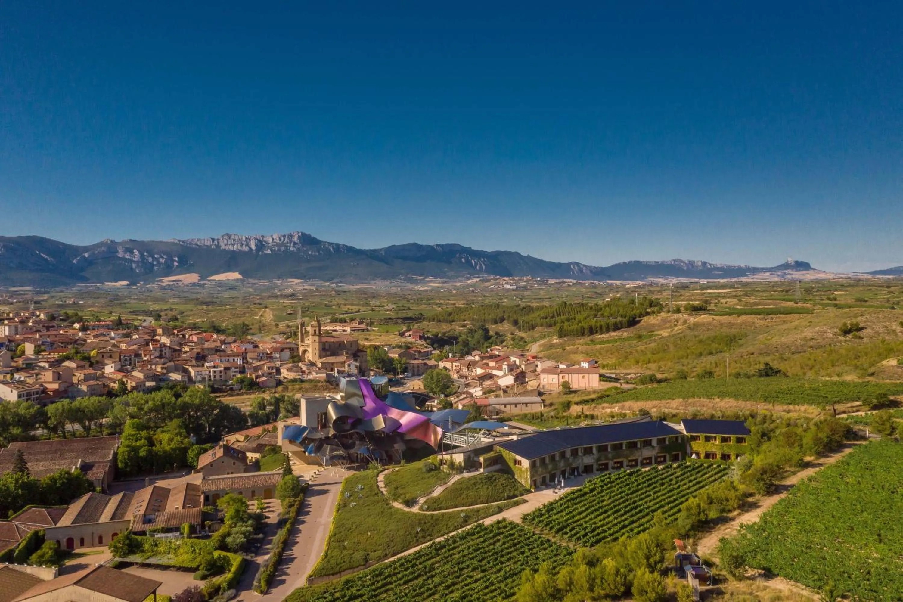 View (from property/room) in Hotel Marqués de Riscal, a Luxury Collection Hotel, Elciego