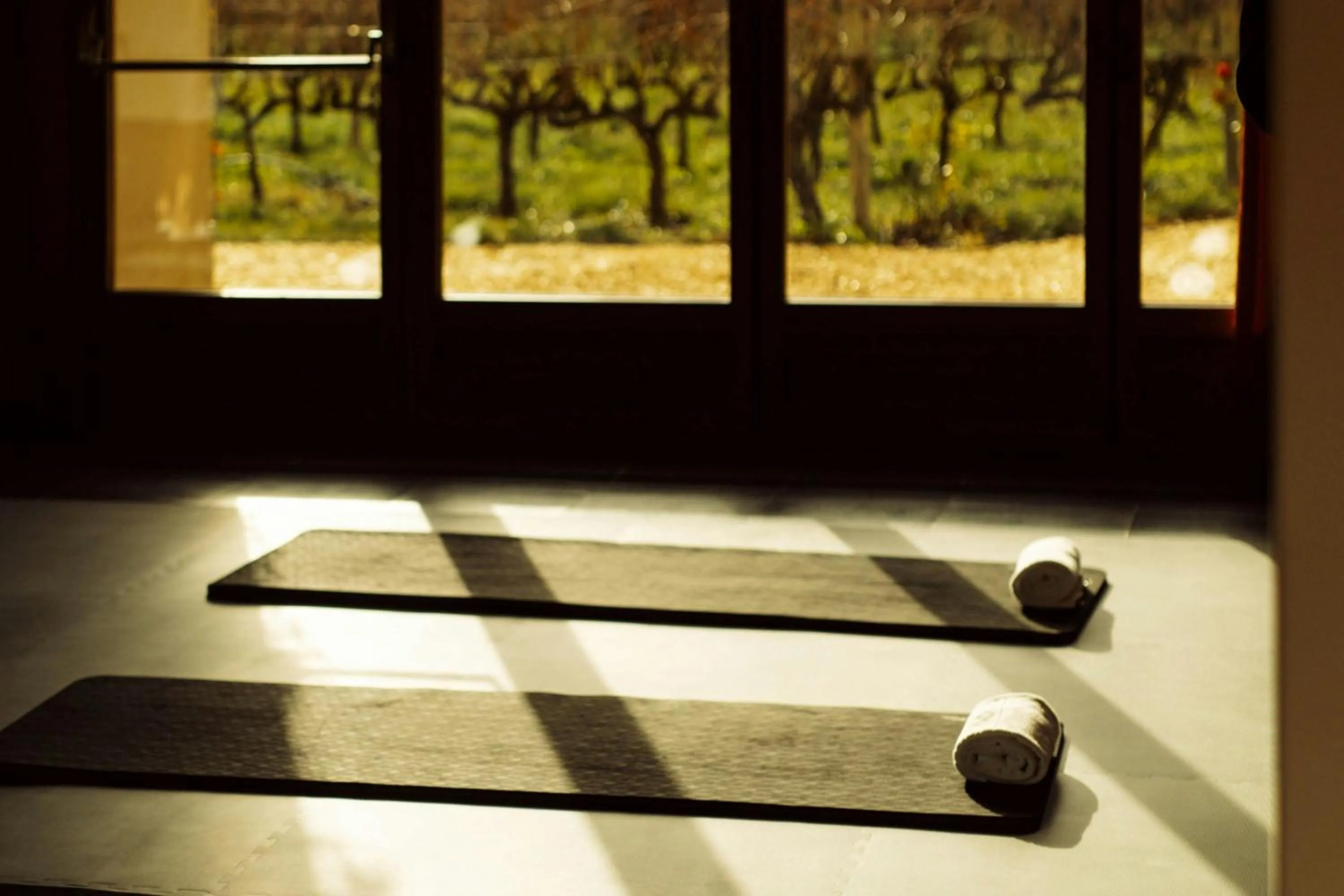 Spa and wellness centre/facilities in Hotel Marqués de Riscal, a Luxury Collection Hotel, Elciego