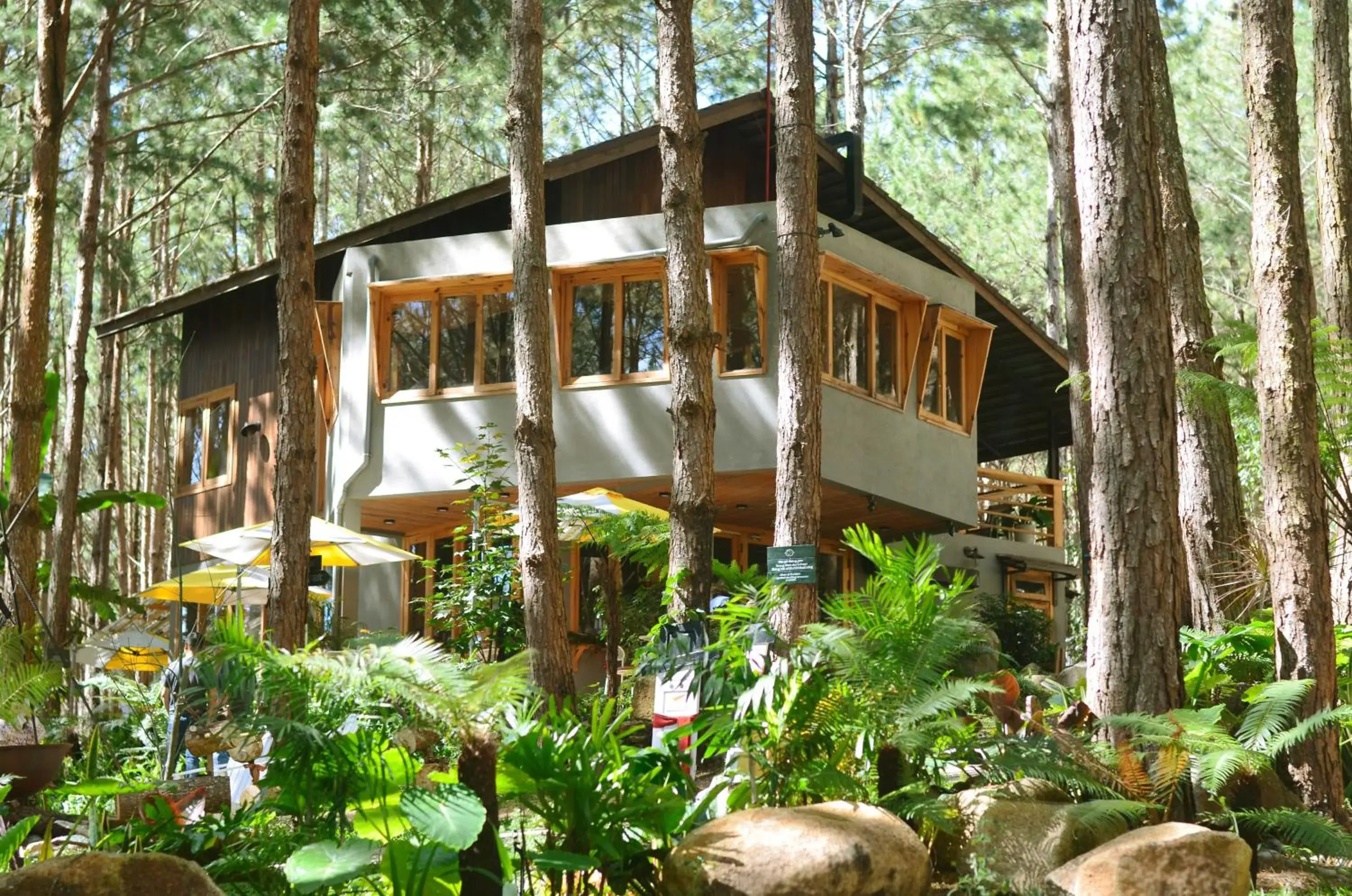 Restaurant/places to eat in Mơ Stay - Forest Resort Restaurant/places to eat in Mơ Stay - Forest Resort
