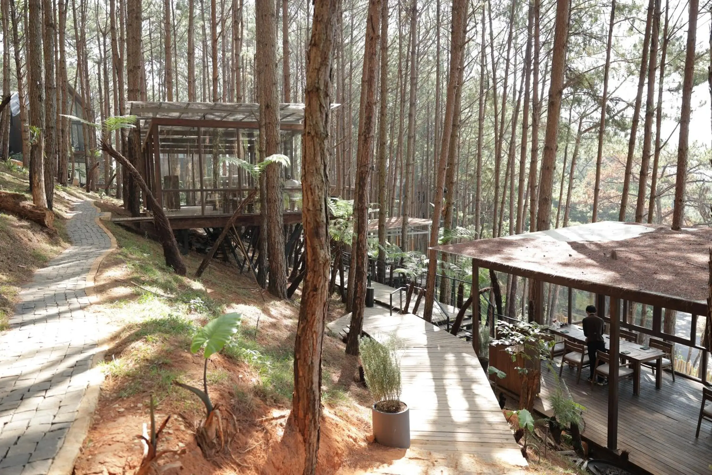 Restaurant/places to eat in Mơ Stay - Forest Resort Restaurant/places to eat in Mơ Stay - Forest Resort