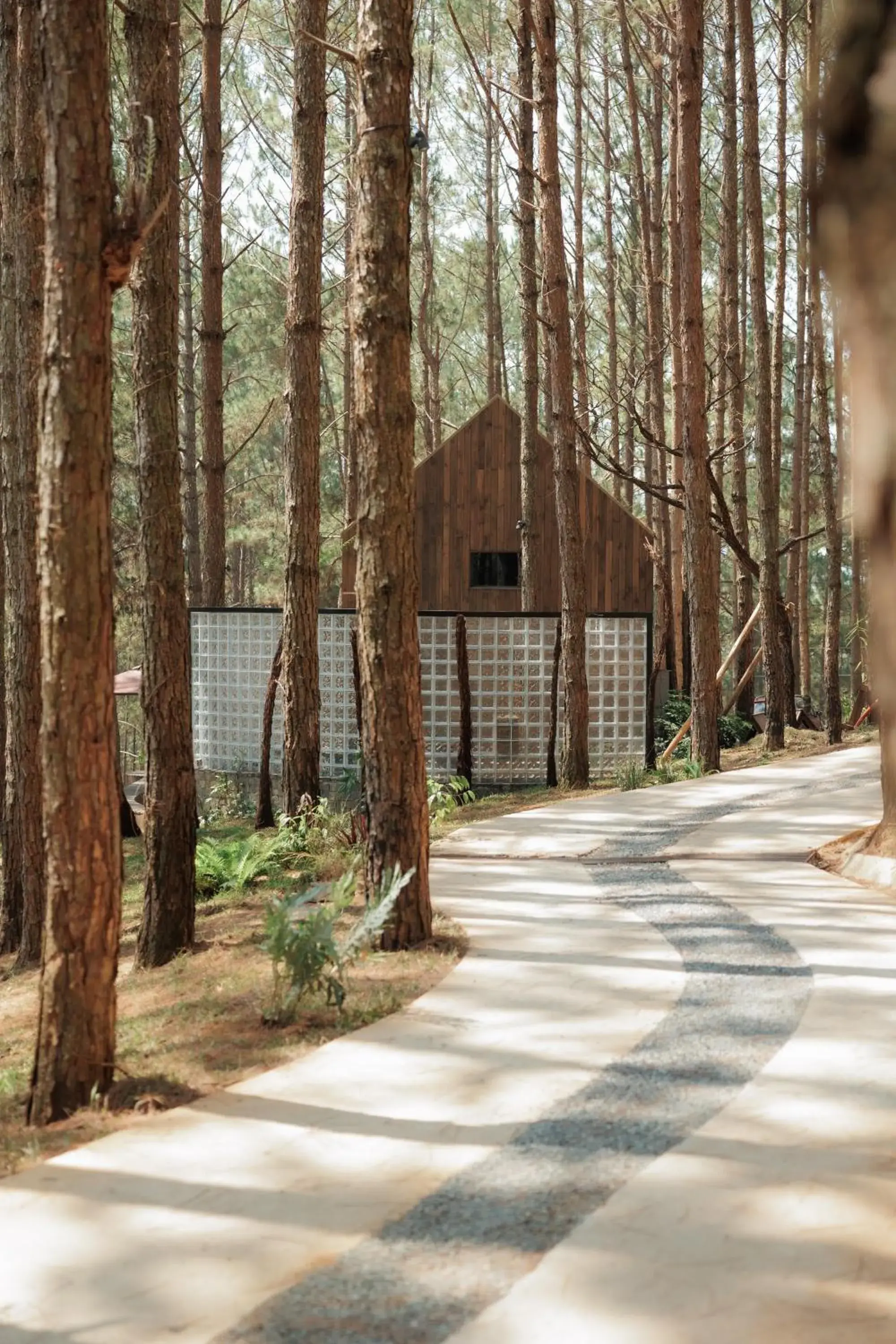 Facade/entrance in Mơ Stay - Forest Resort Facade/entrance in Mơ Stay - Forest Resort