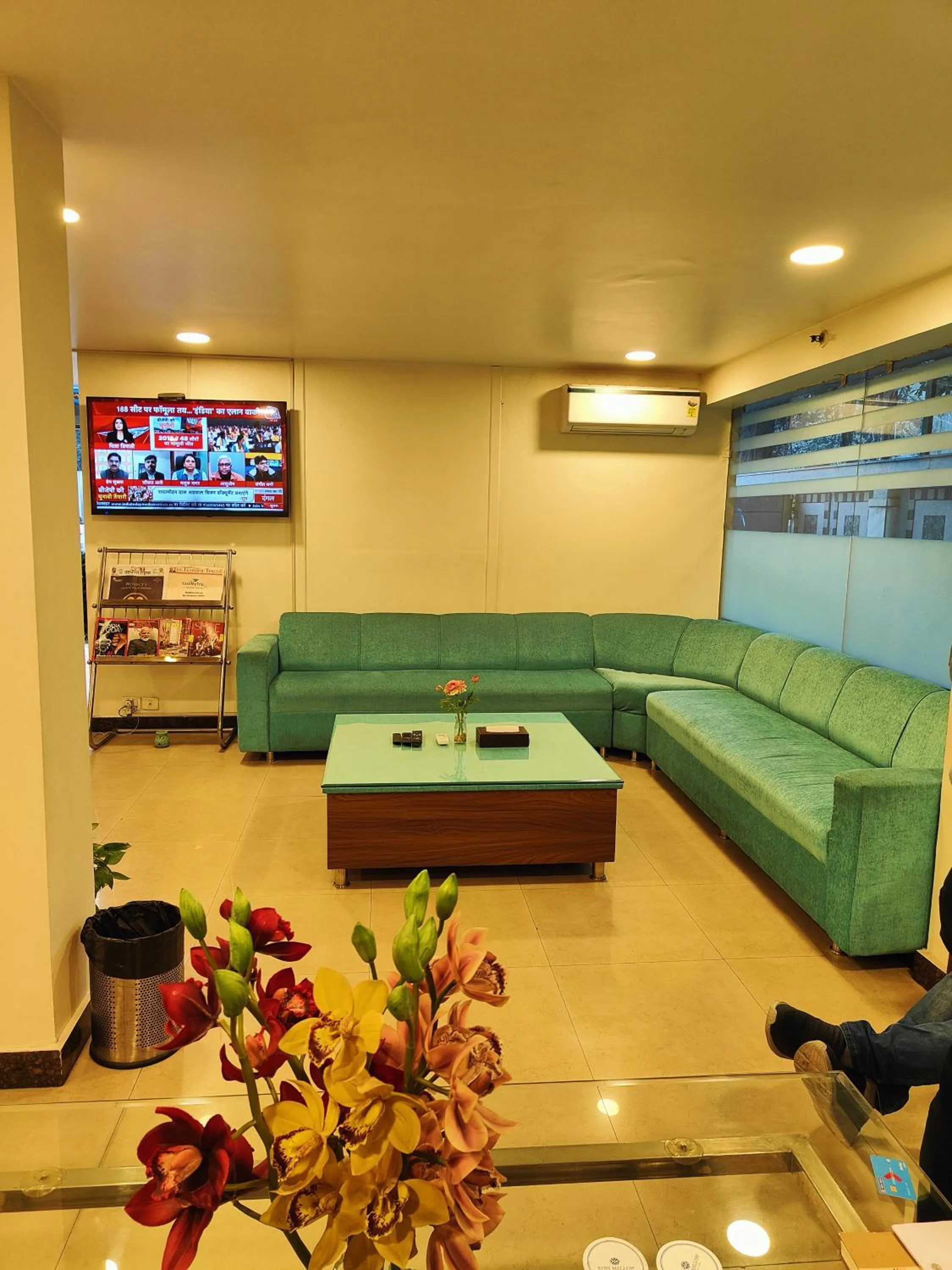 TV and multimedia in Rosemallow Hotel New Delhi