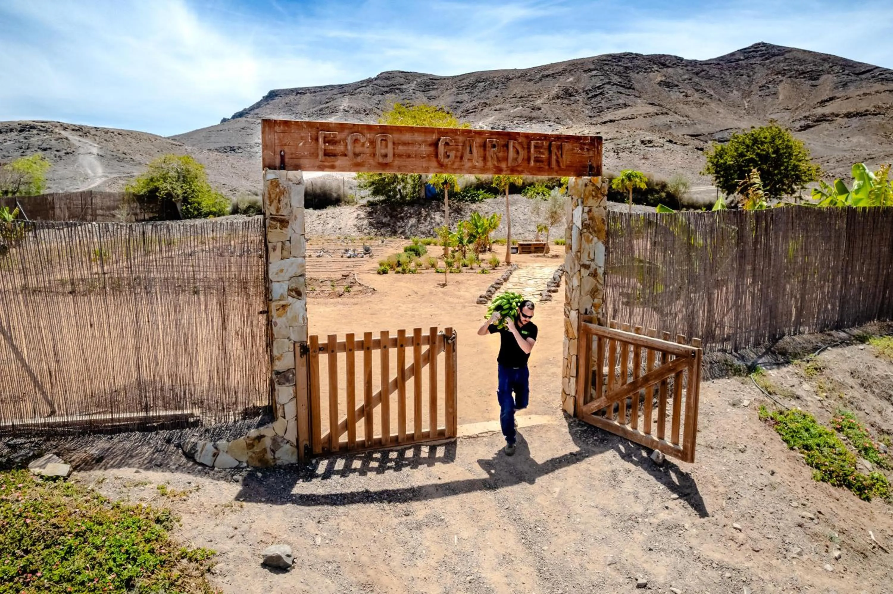 Property building in Playitas Villas - Sports Resort