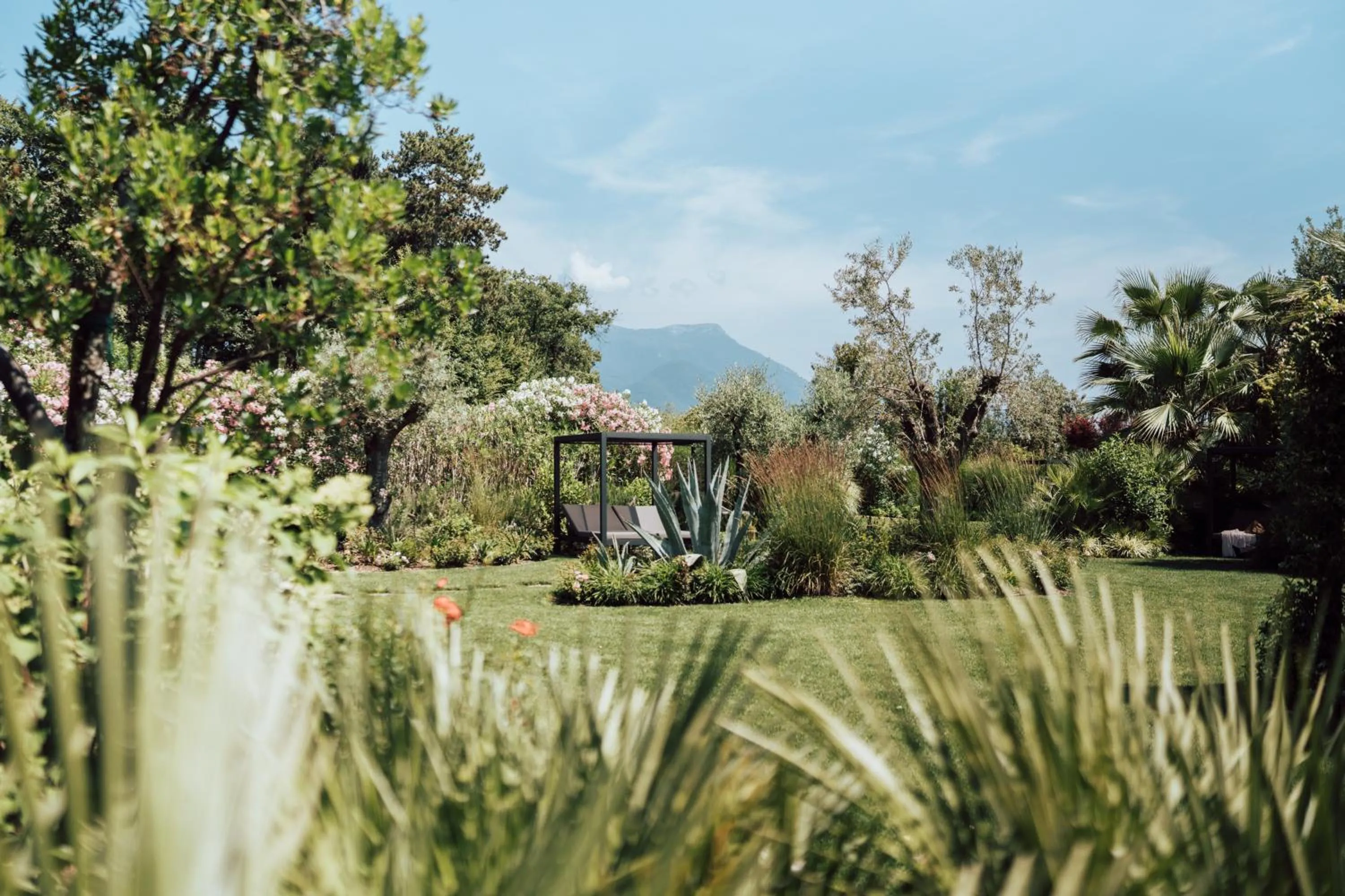 Garden in Conti Thun Wine Resort
