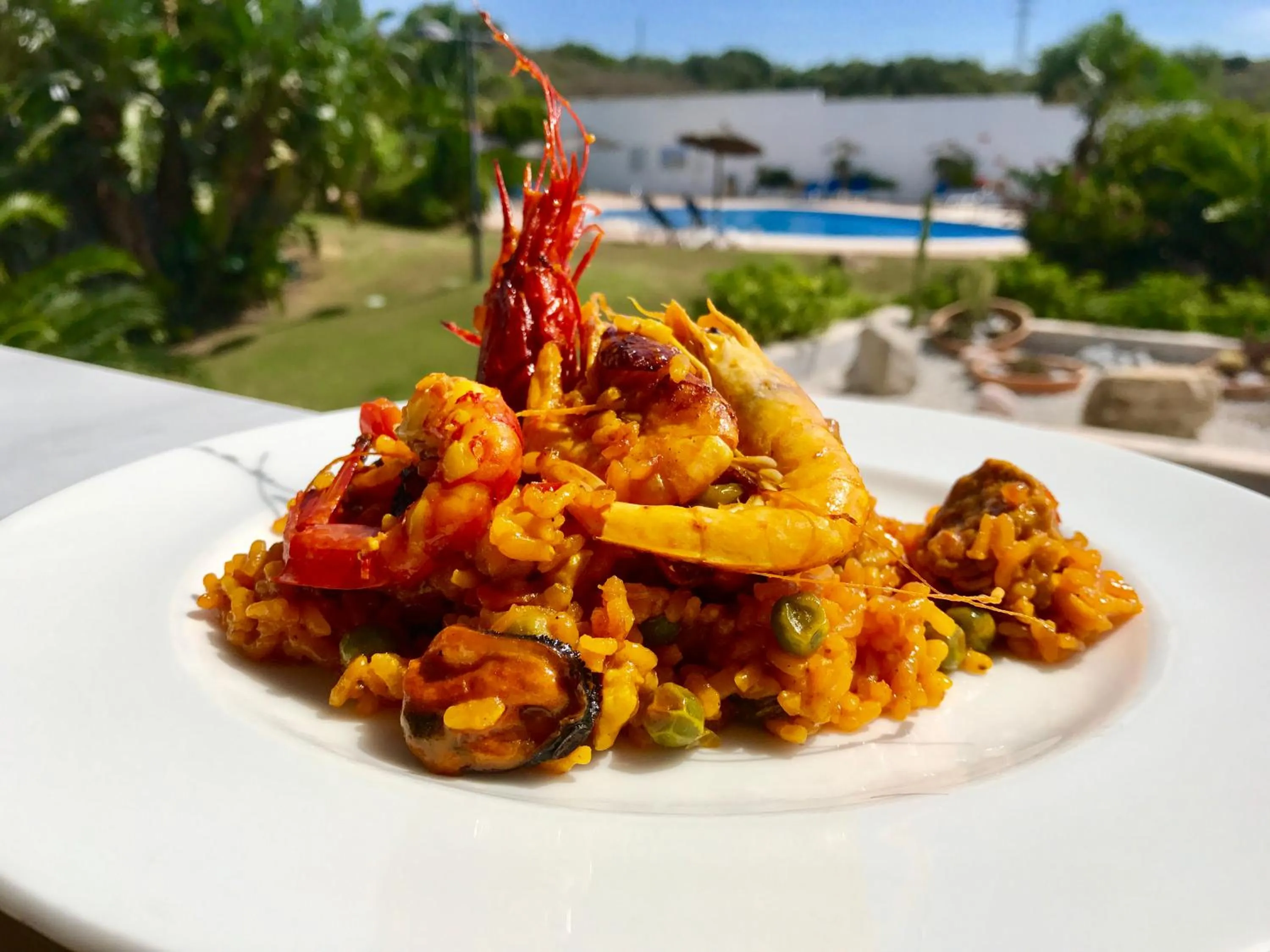 Food and drinks in Hotel Montera Plaza