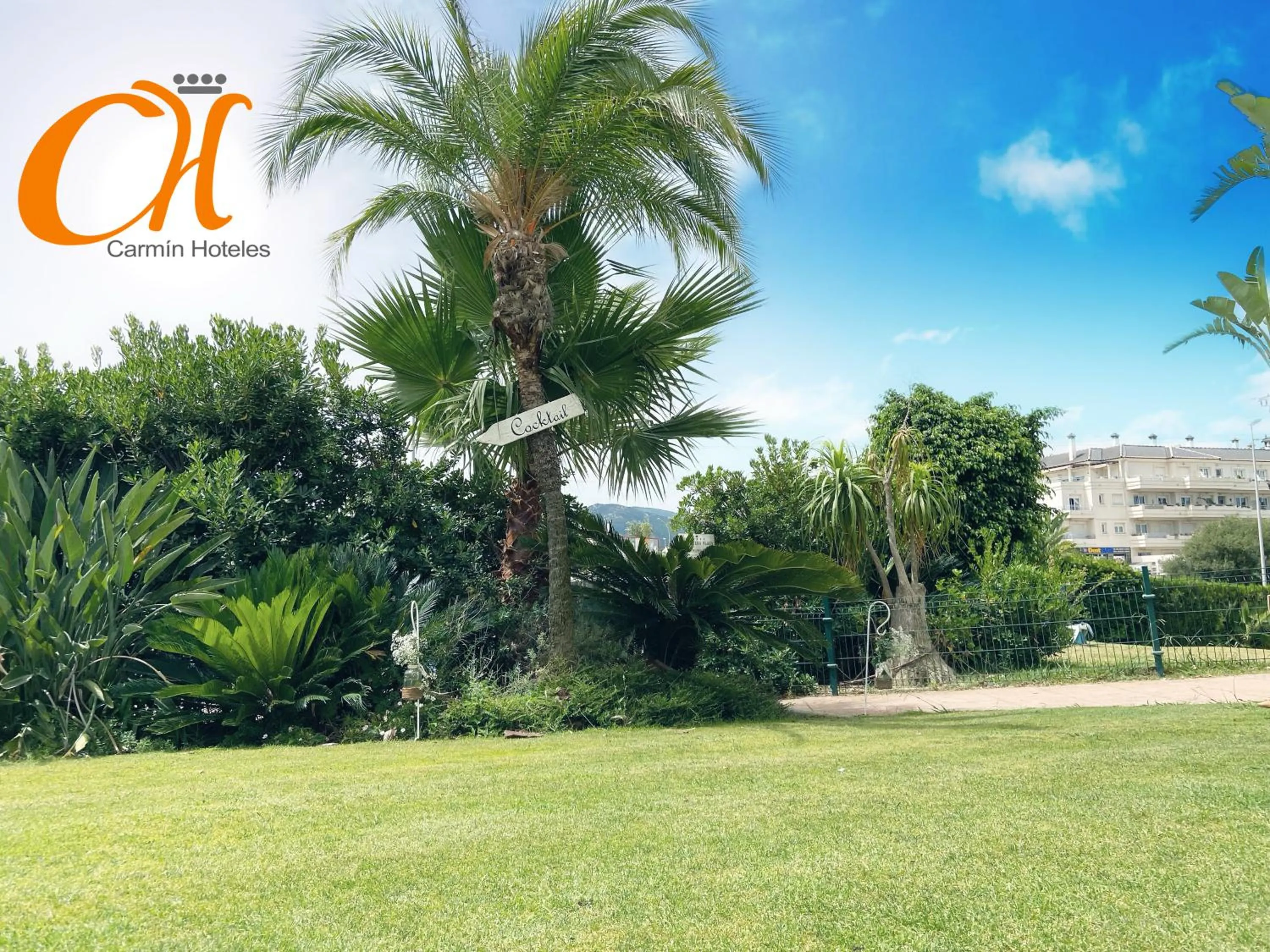 Garden in Hotel Montera Plaza