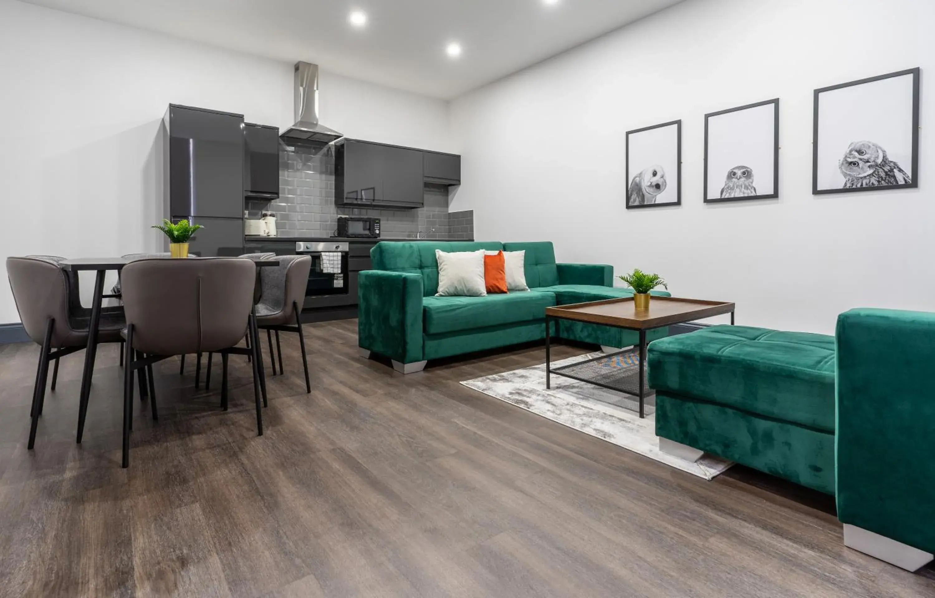 New Zealand House Apartments by Happy Days New Zealand House Apartments by Happy Days