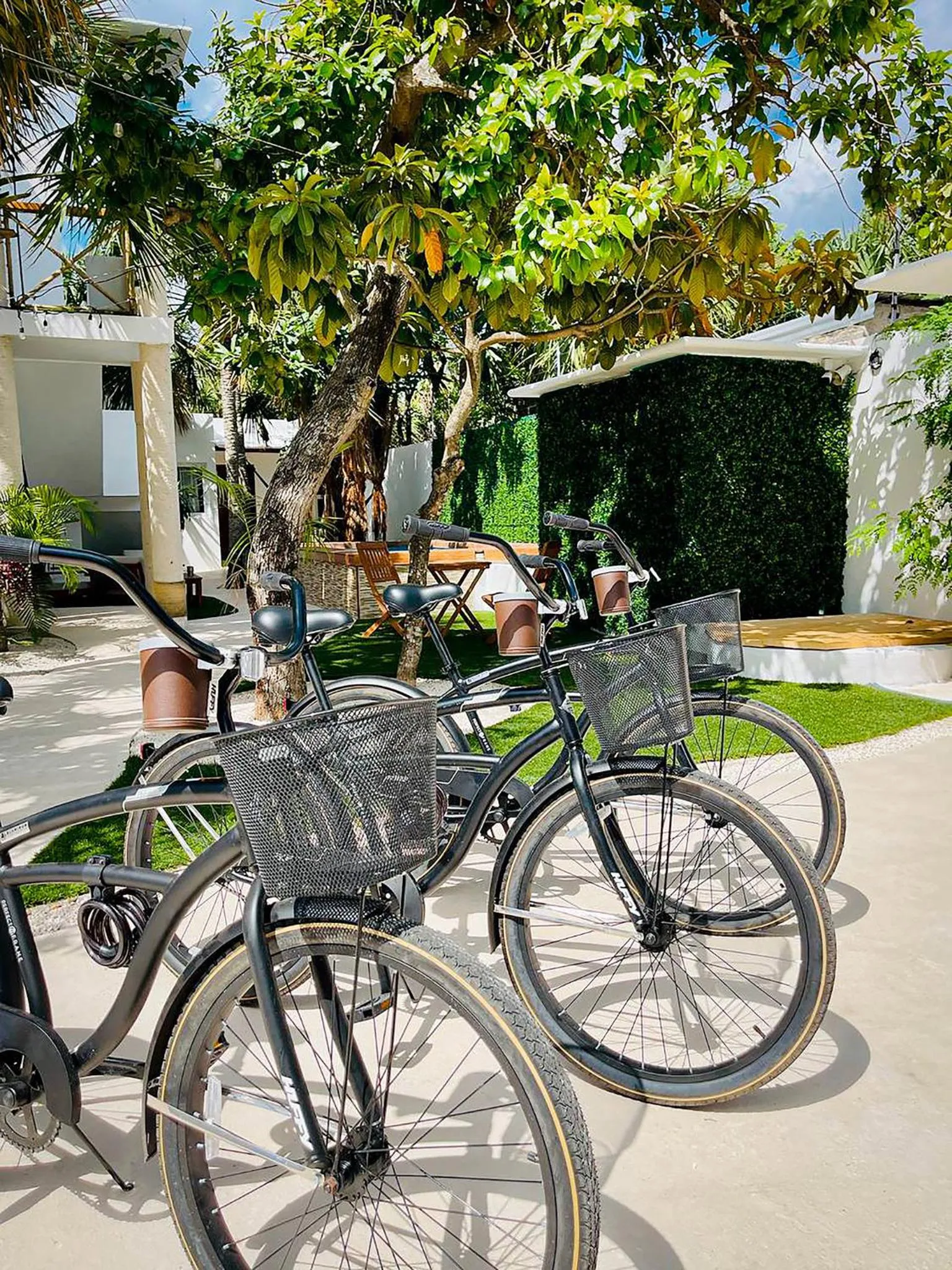 Cycling in SAYU - Suites