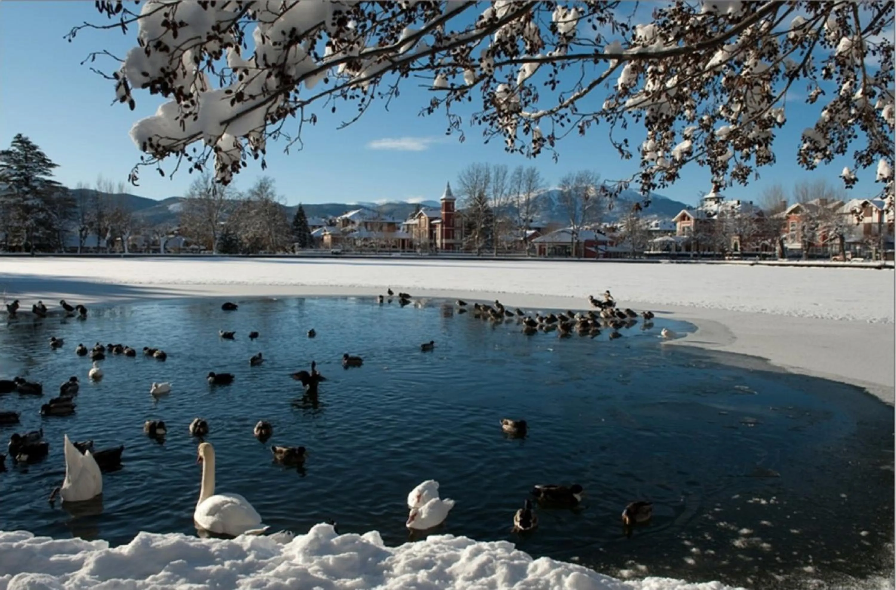 Lake view in Hotel Villa Paulita