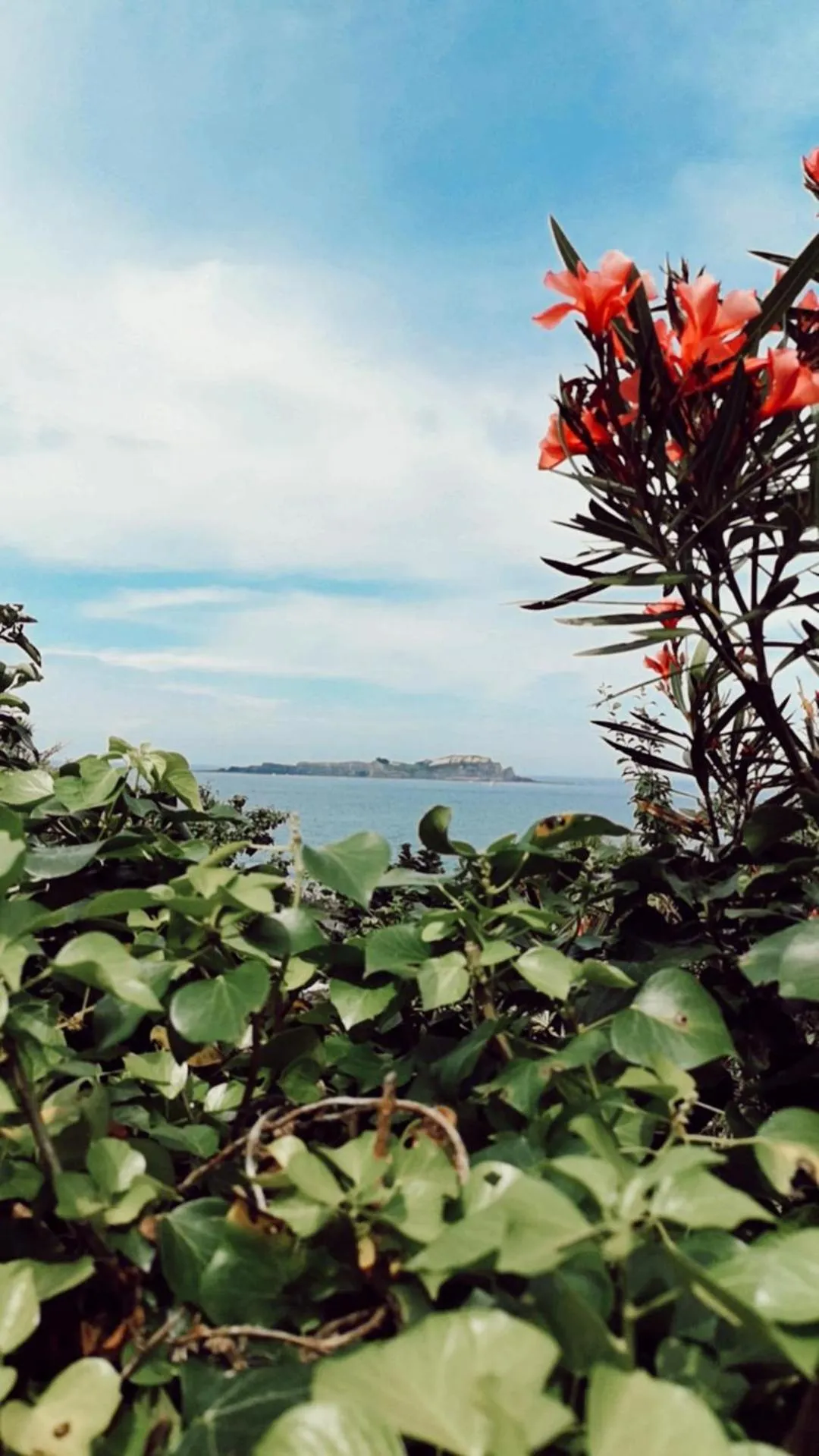 Natural landscape in Hotel Ibaigune