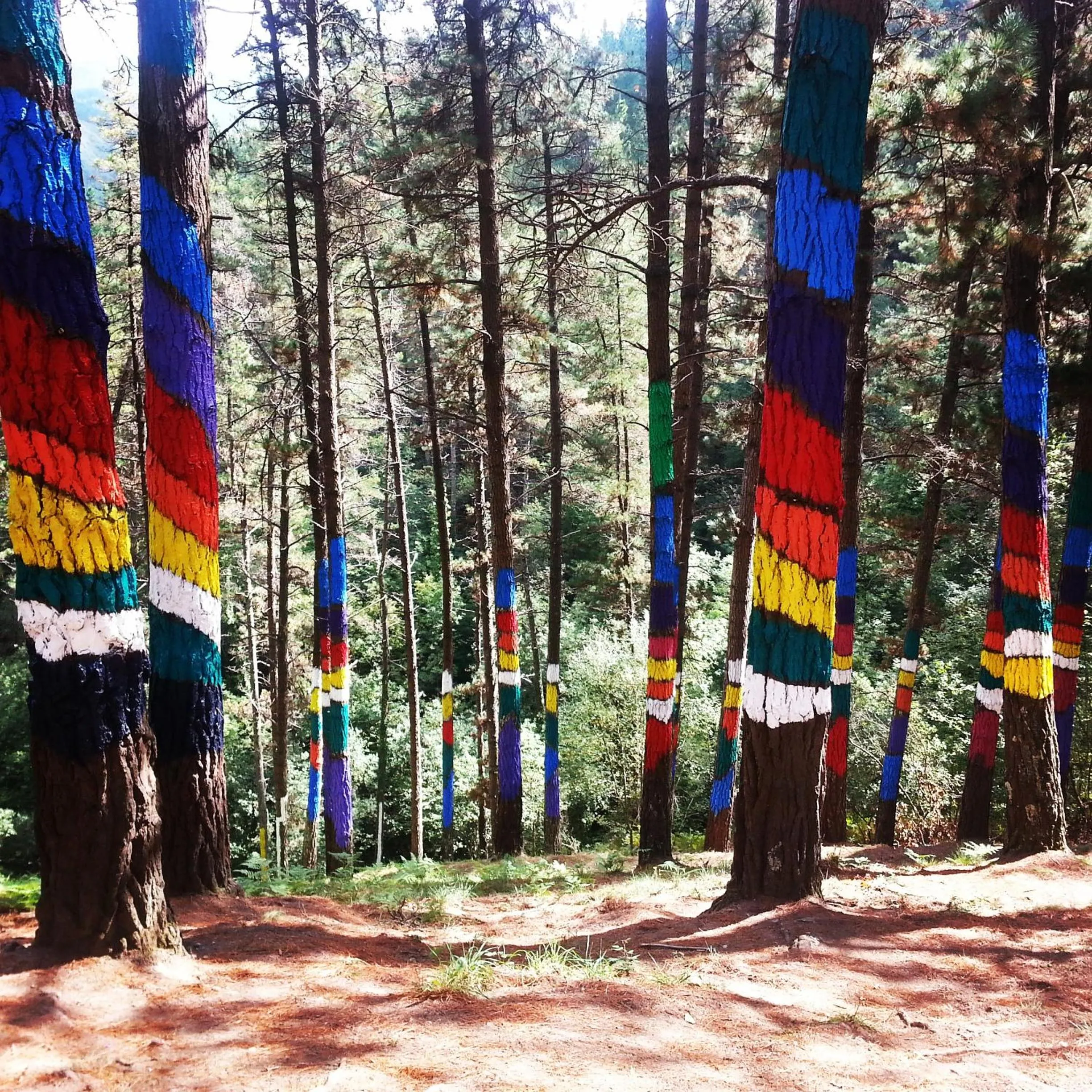 Nearby landmark in Hotel Ibaigune
