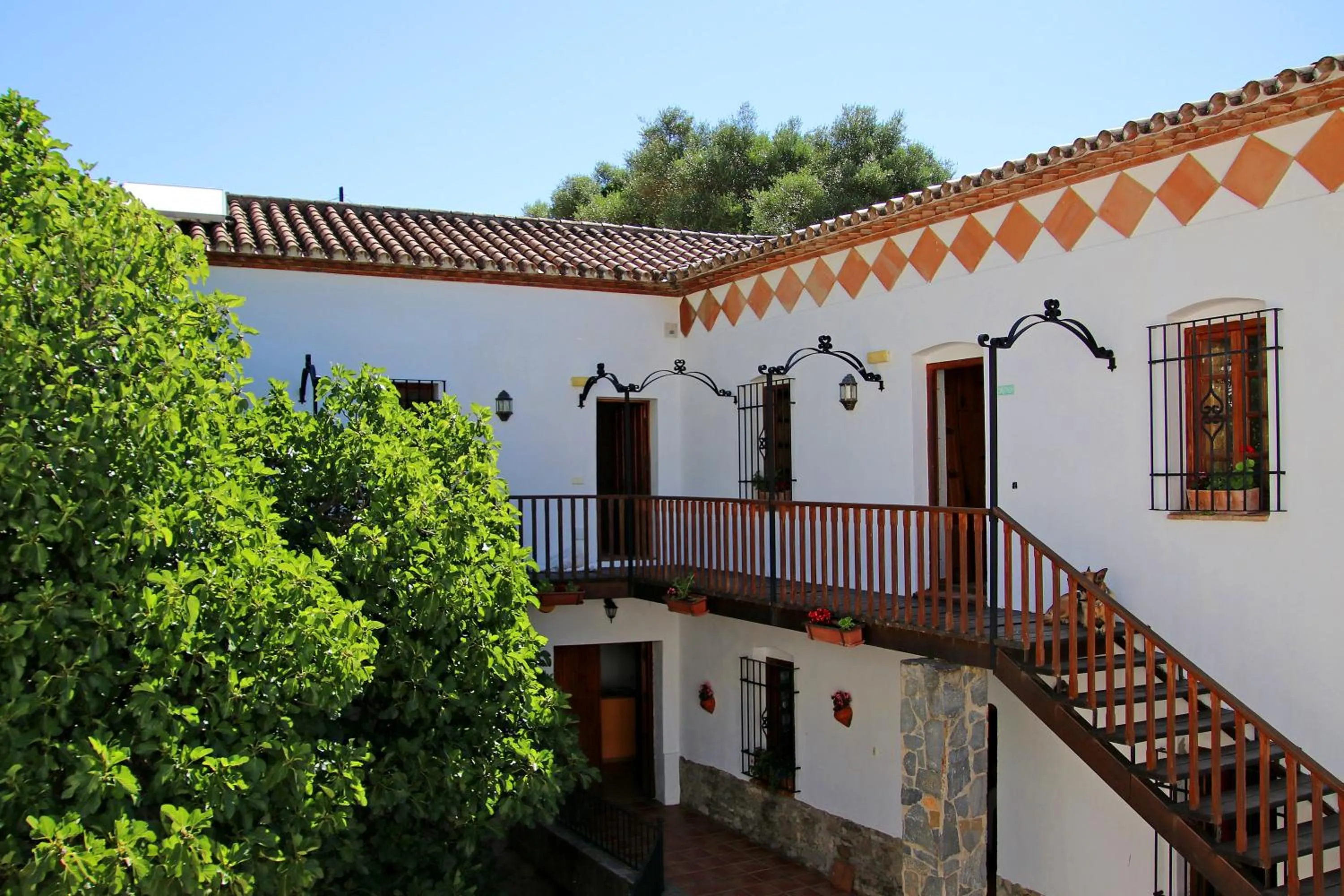 Molino Cuatro Paradas