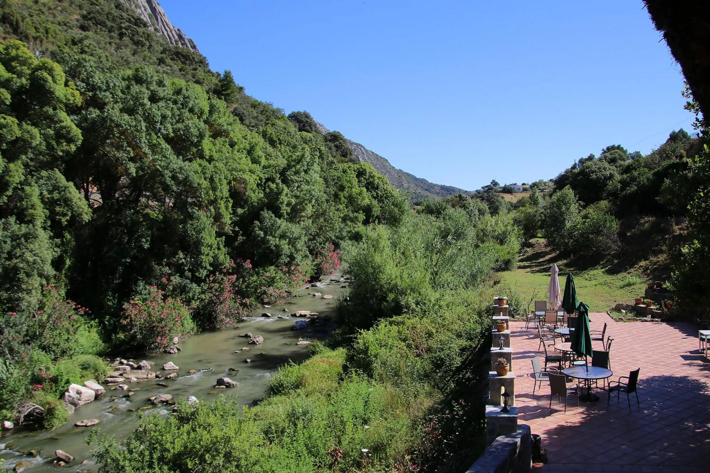 Garden view in Molino Cuatro Paradas