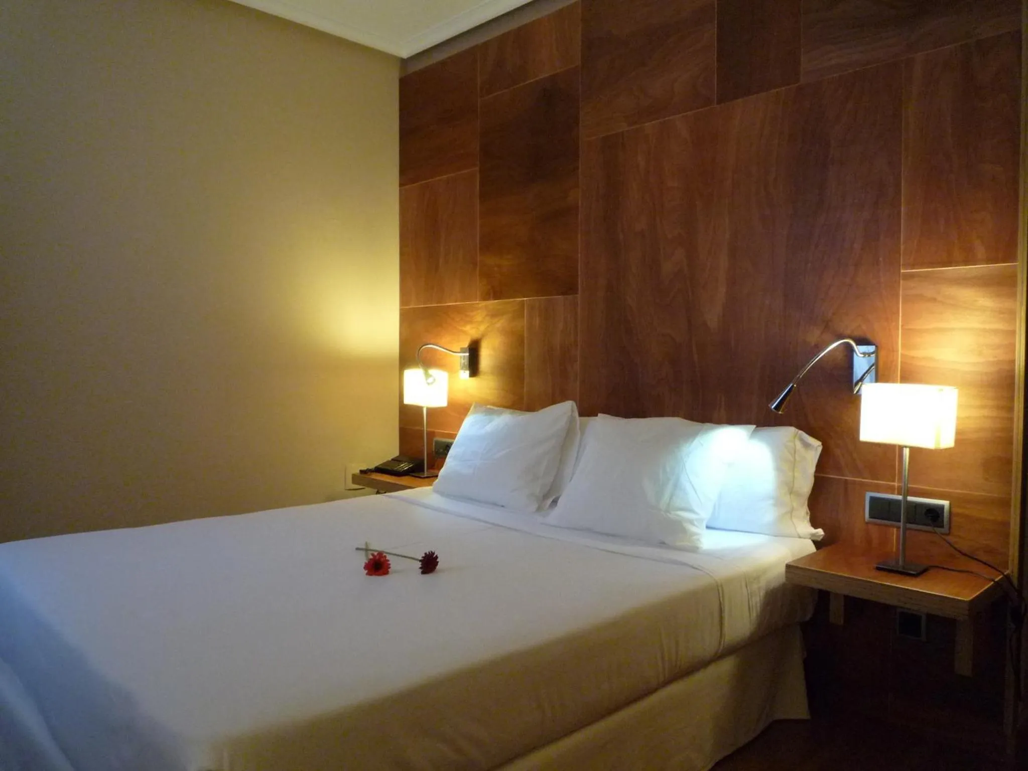 Photo of the whole room, Bed in Hotel Picos de Europa