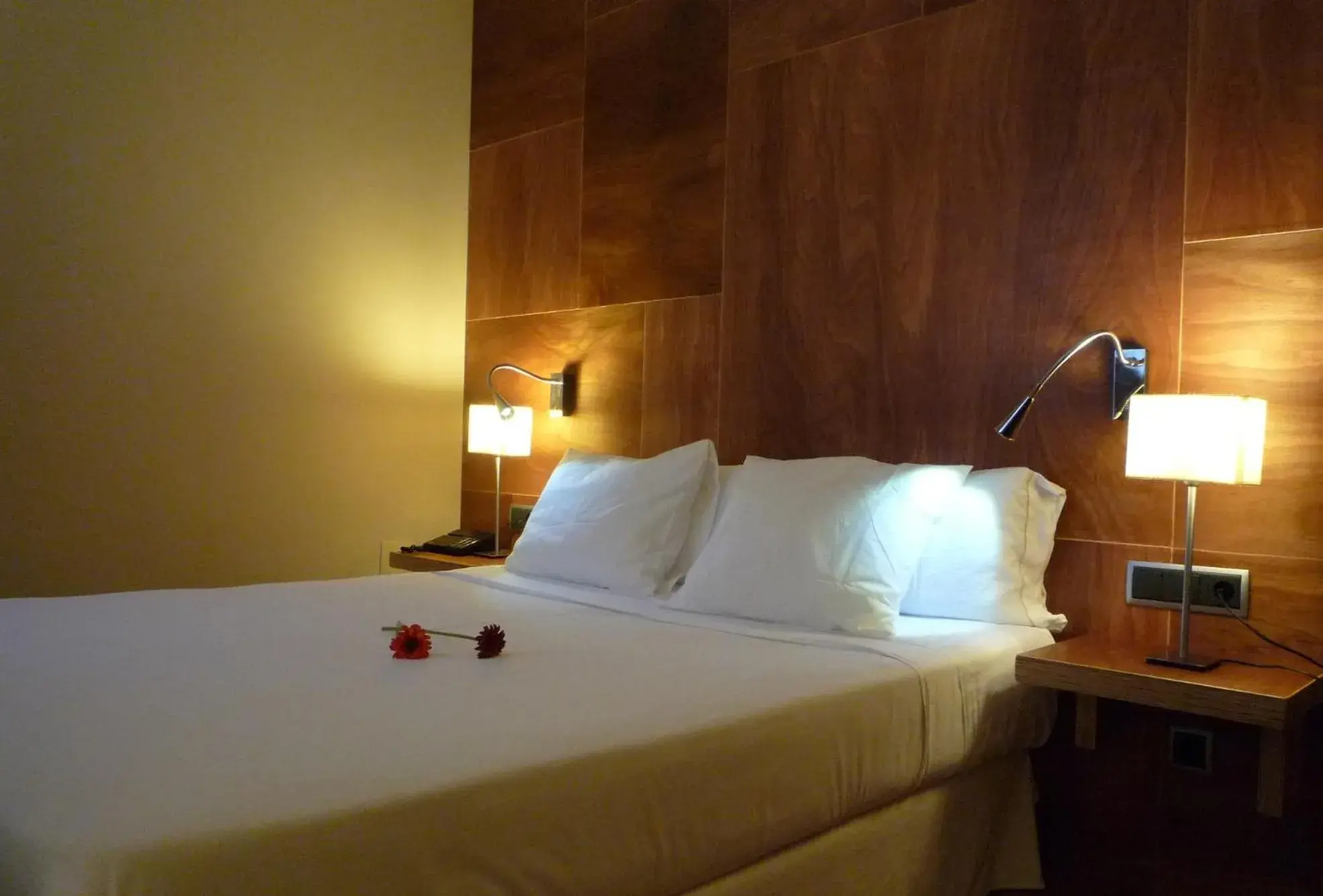 Double Room in Hotel Picos de Europa Double Room in Hotel Picos de Europa